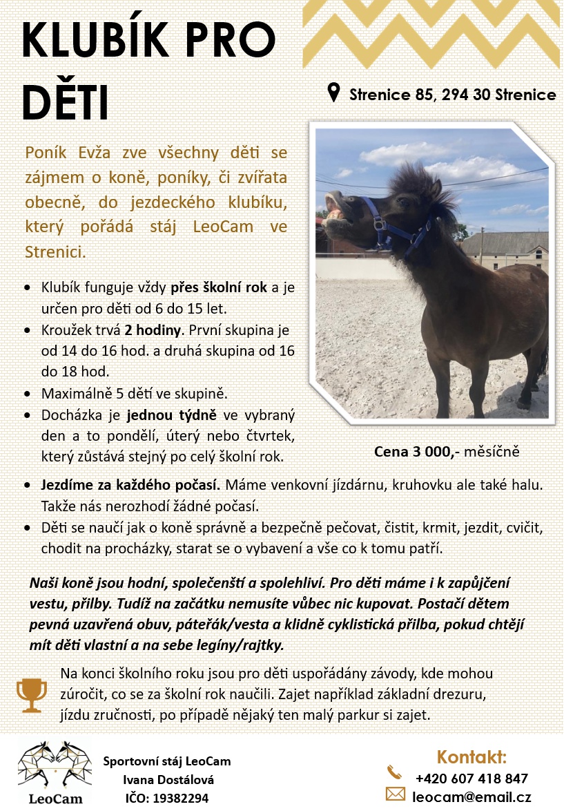 Sportovní stáj LeoCam foto 6