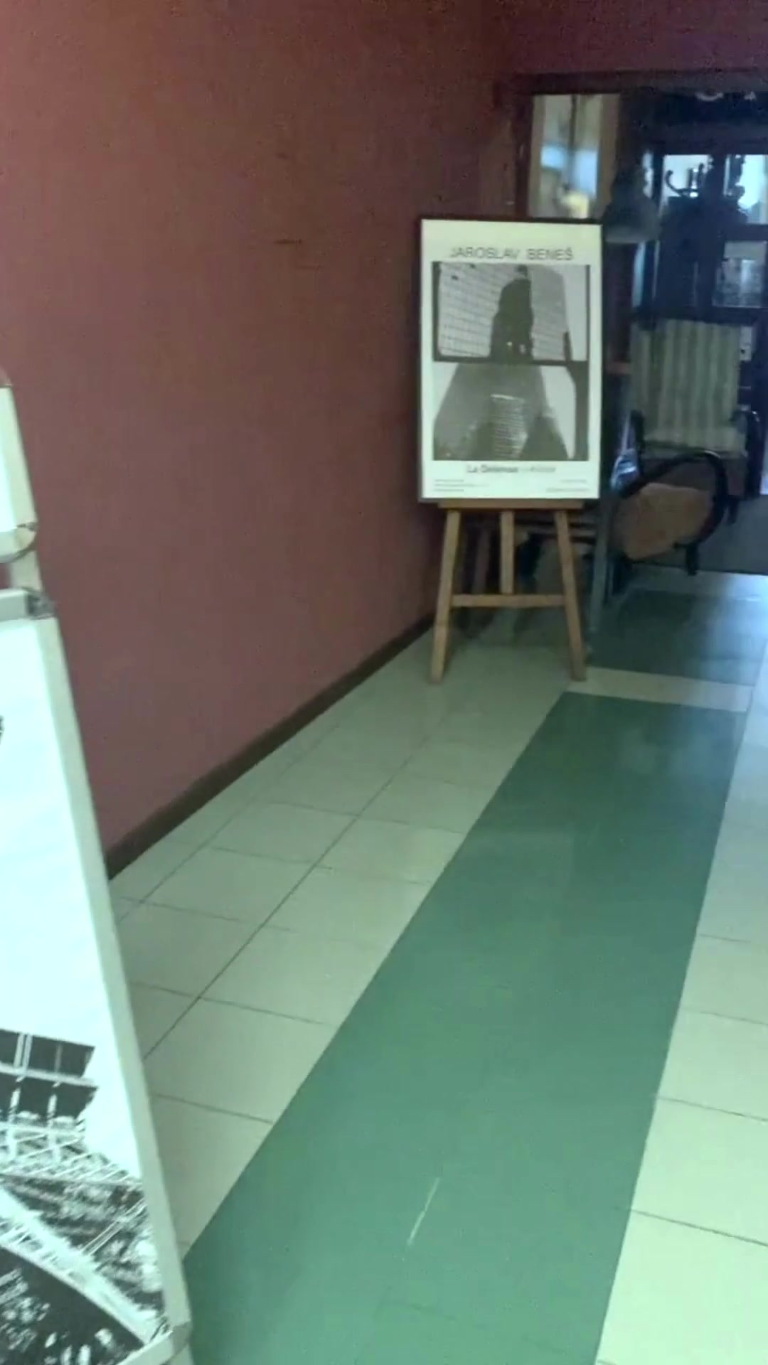 Alliance Française Jižní Čechy foto 2 (náhled videa)