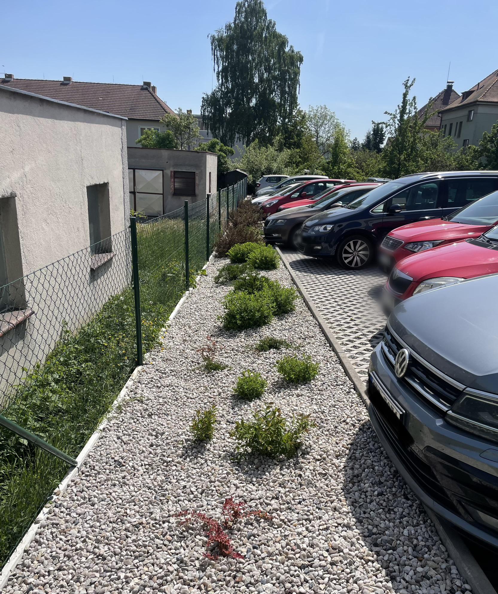 Kácení Lindmajer foto 4