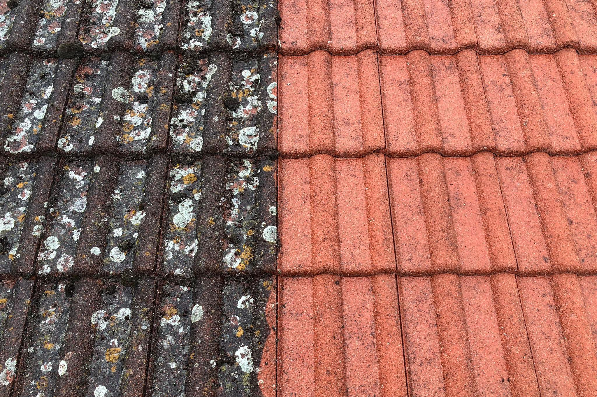 Čistění střech od mechu