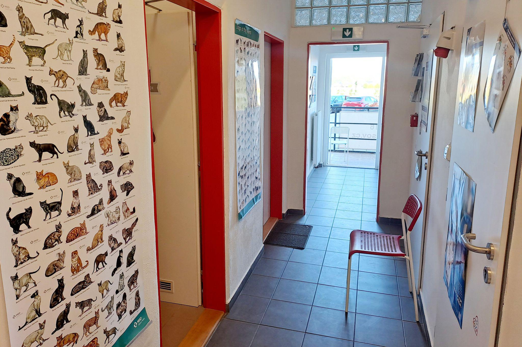 Dravet - veterinární ordinace Drásov foto 5