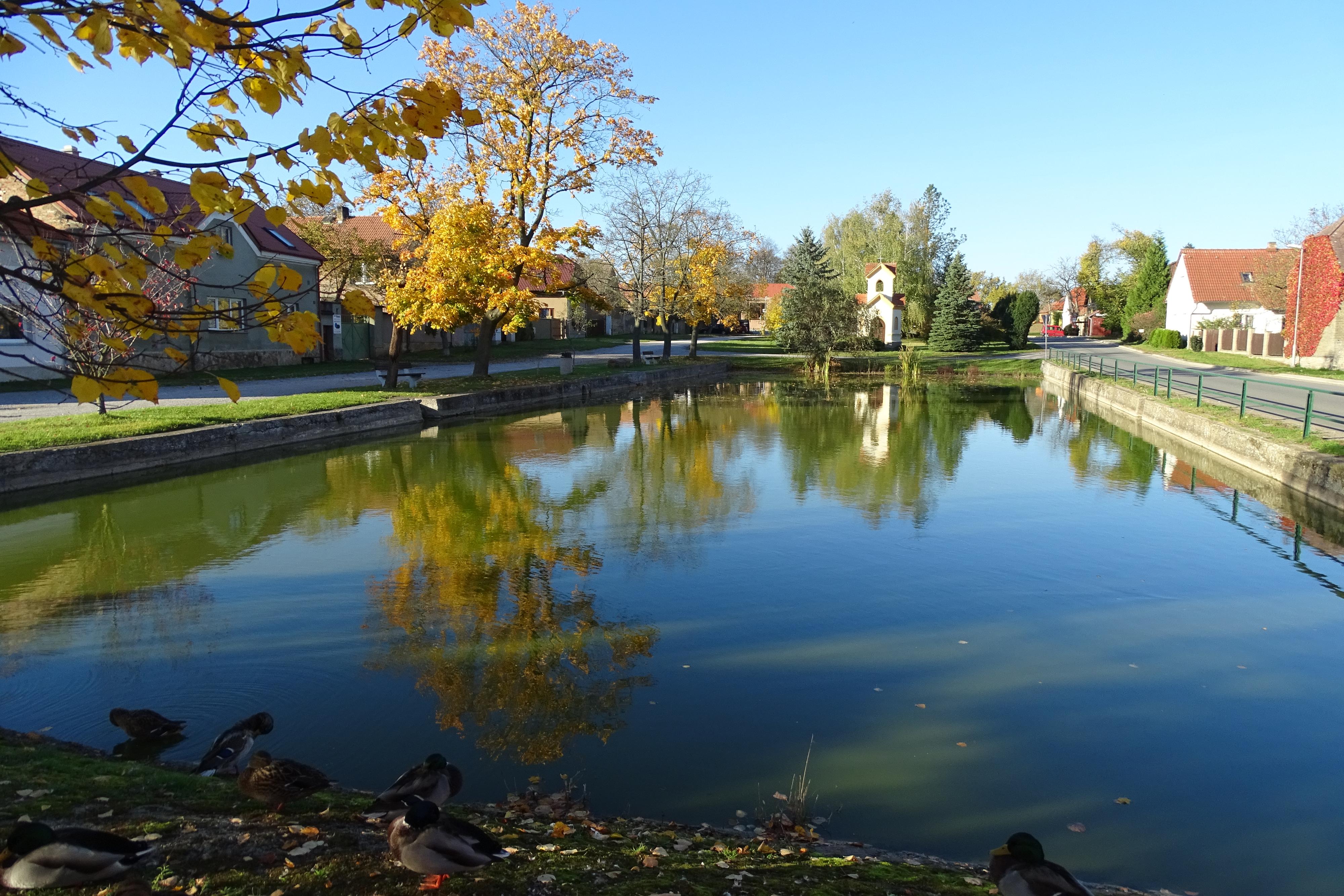 Vysoký Újezd - obecní úřad foto 5