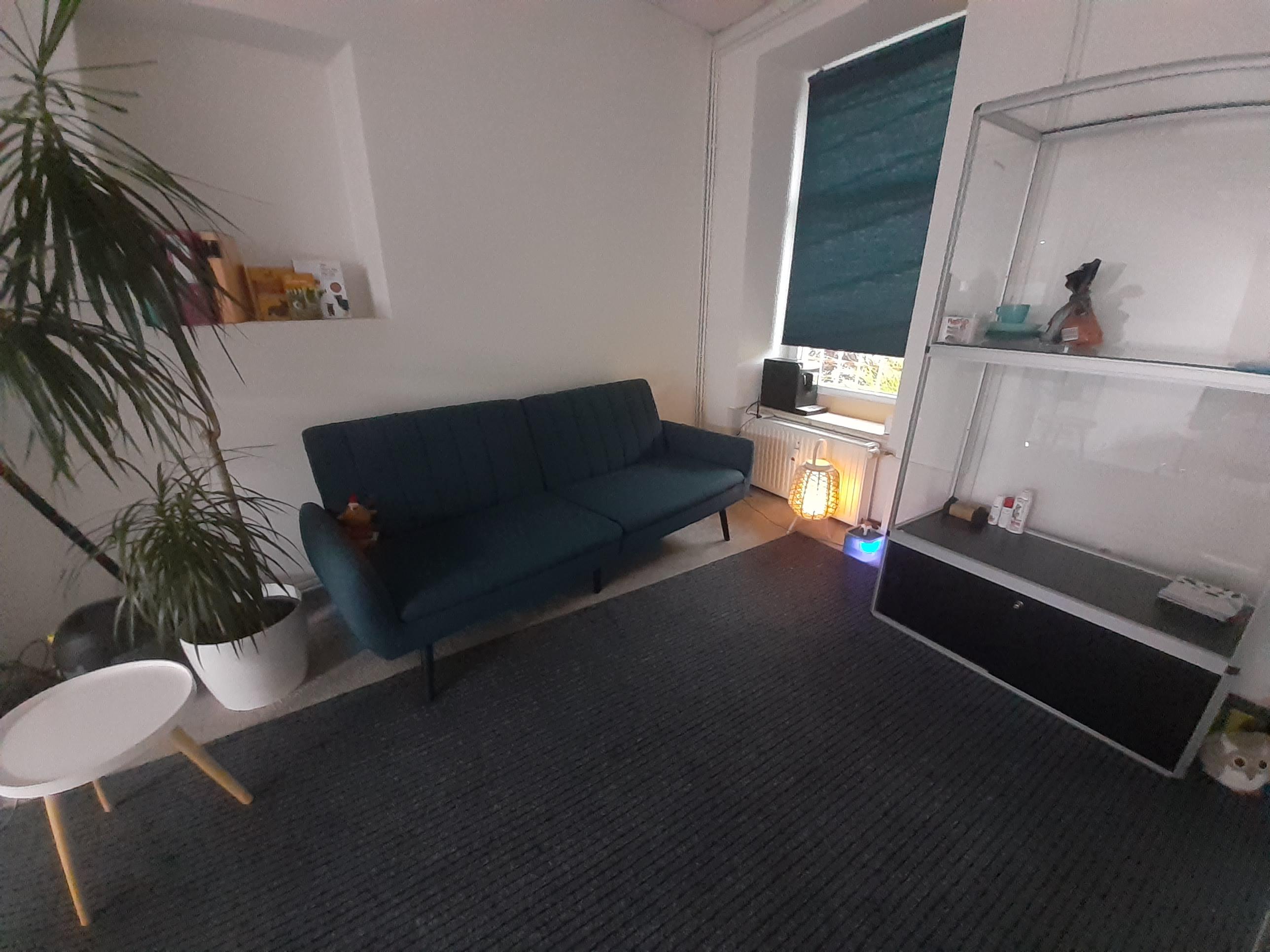 Psí salón AbbyWash foto 5