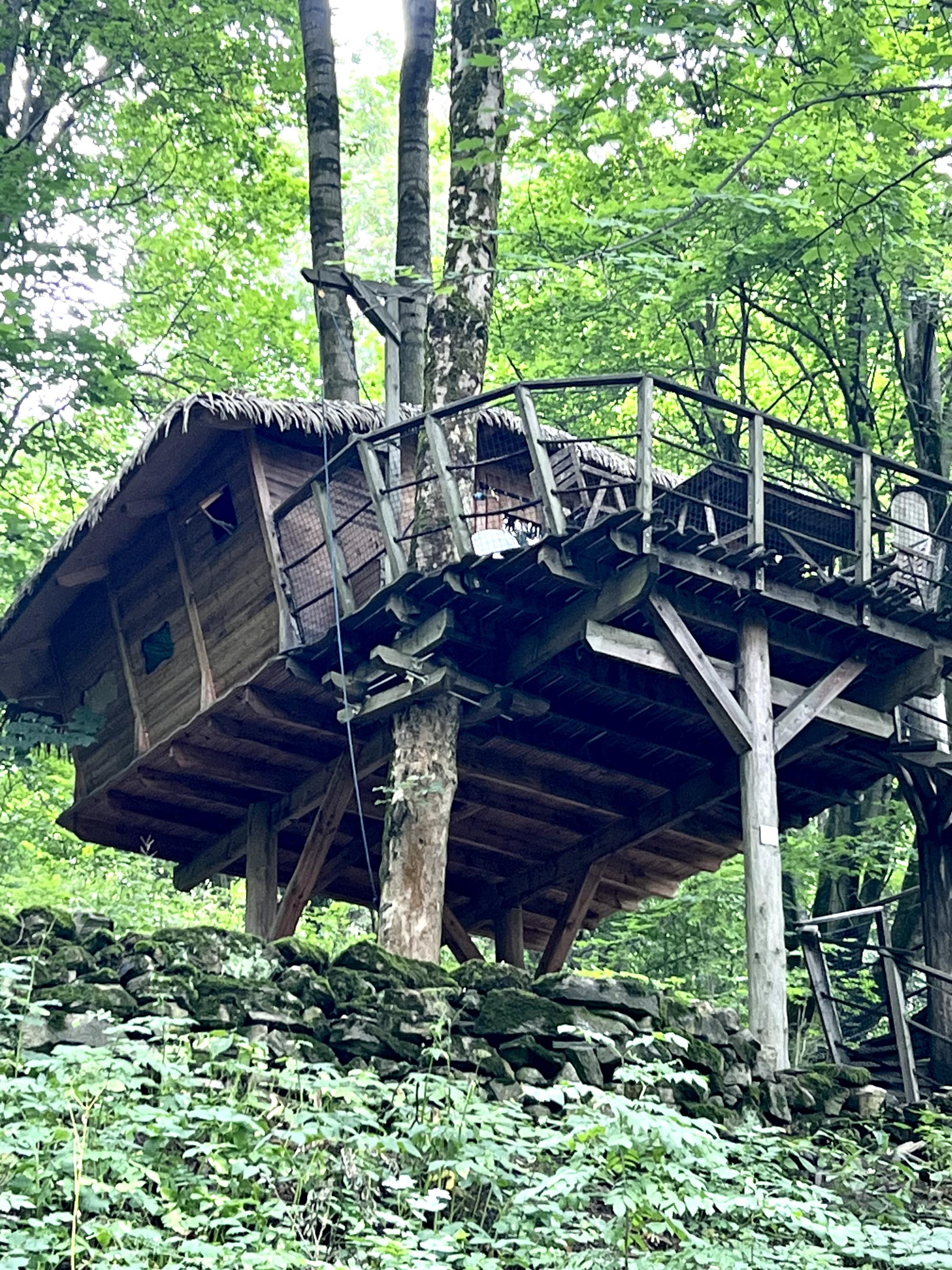 Treehouse pod Ještědem foto 4