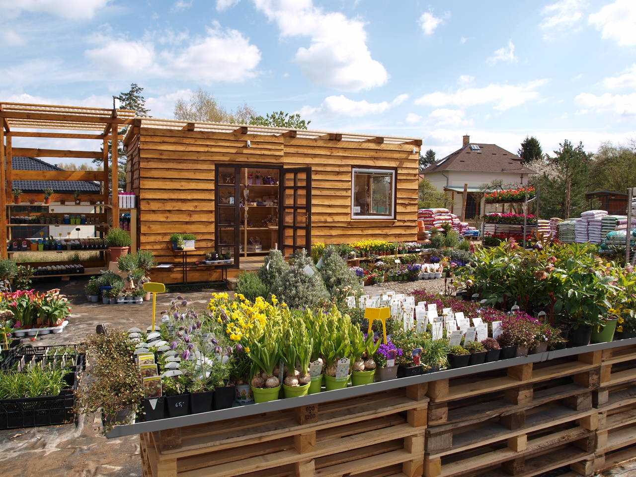 Zahradnictví Levandule foto 6