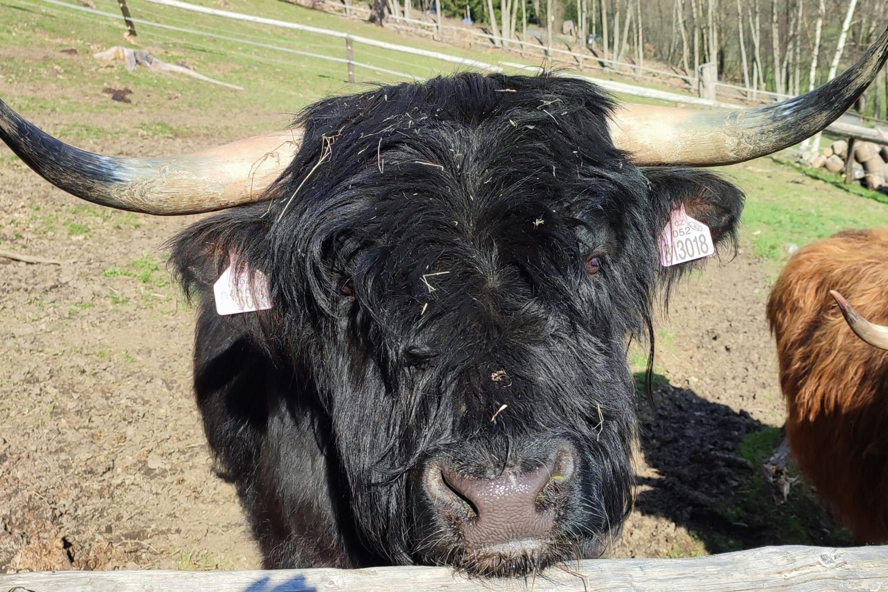 Malá Farma Spálensko - Bratrouchov