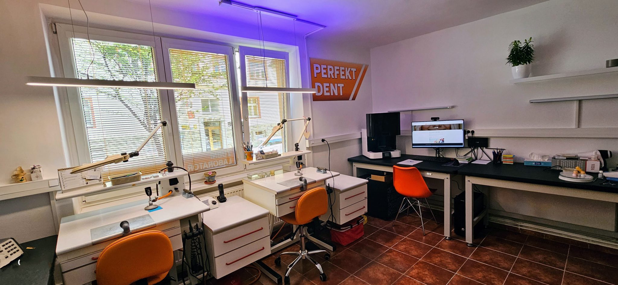 PERFEKTDENT - Pavla Wicherková foto 3