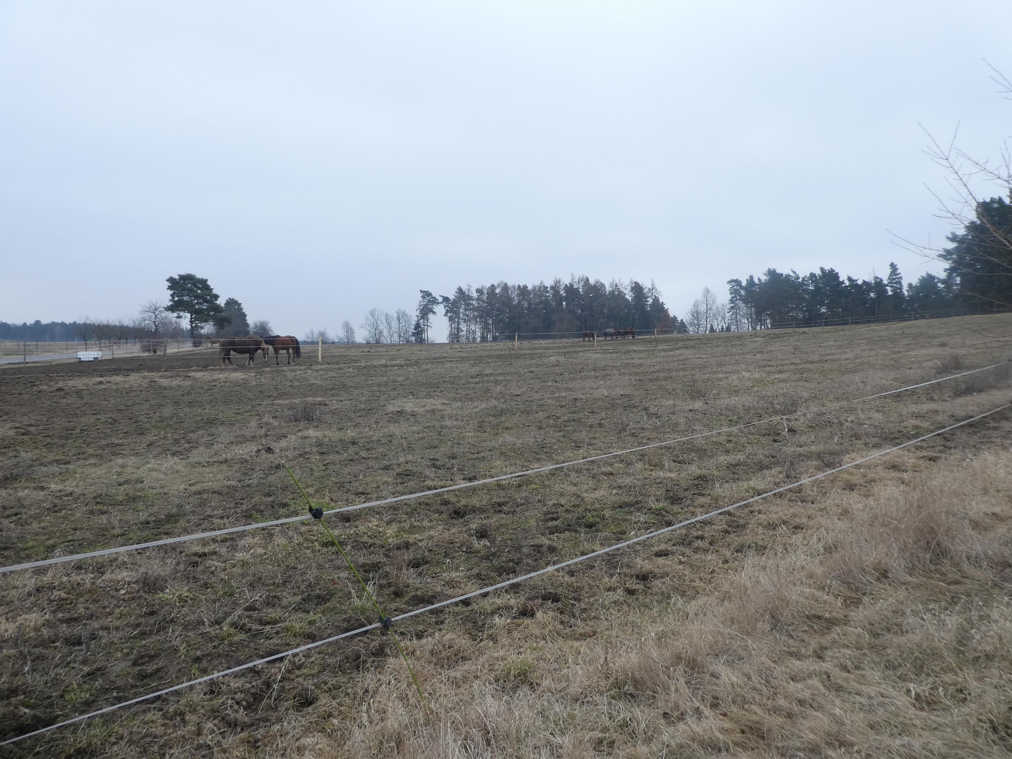 Jezdecký klub Artex