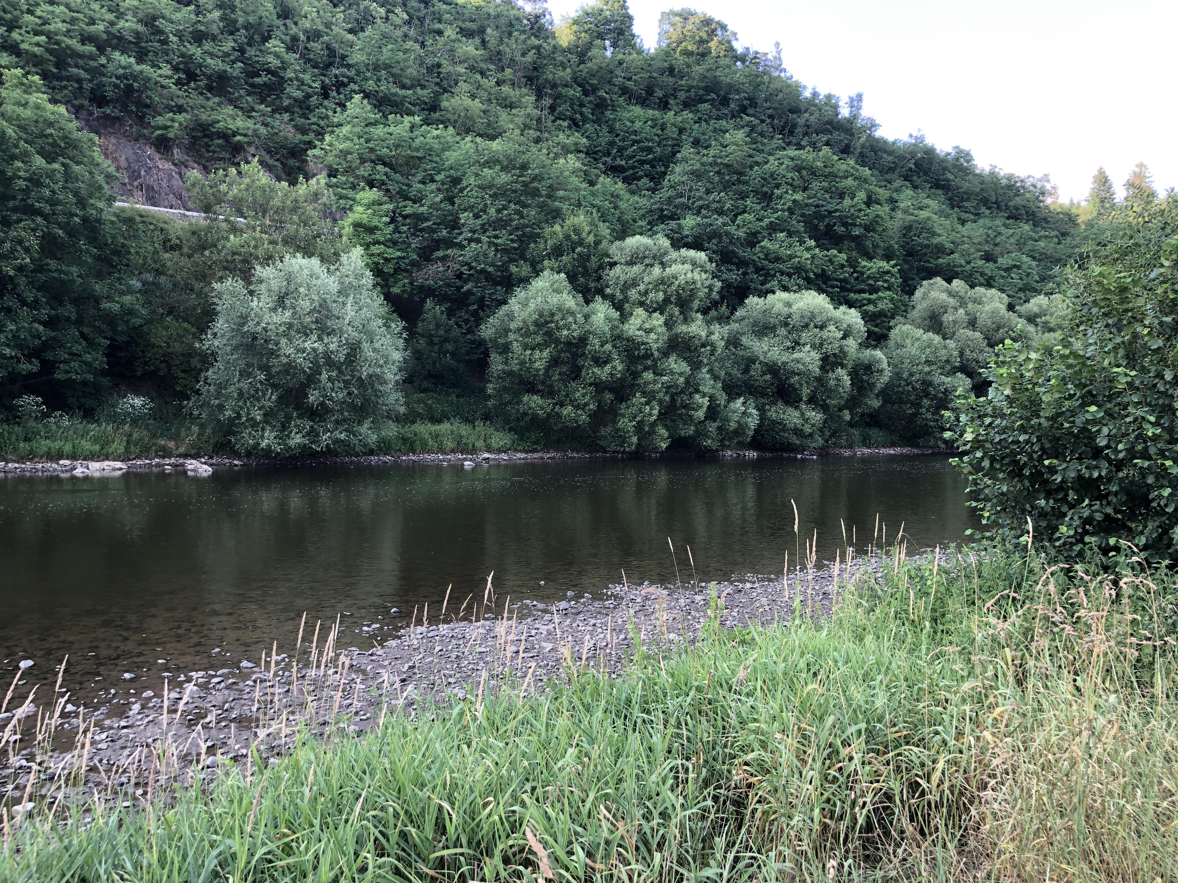 Tábořiště Pikovice foto 5