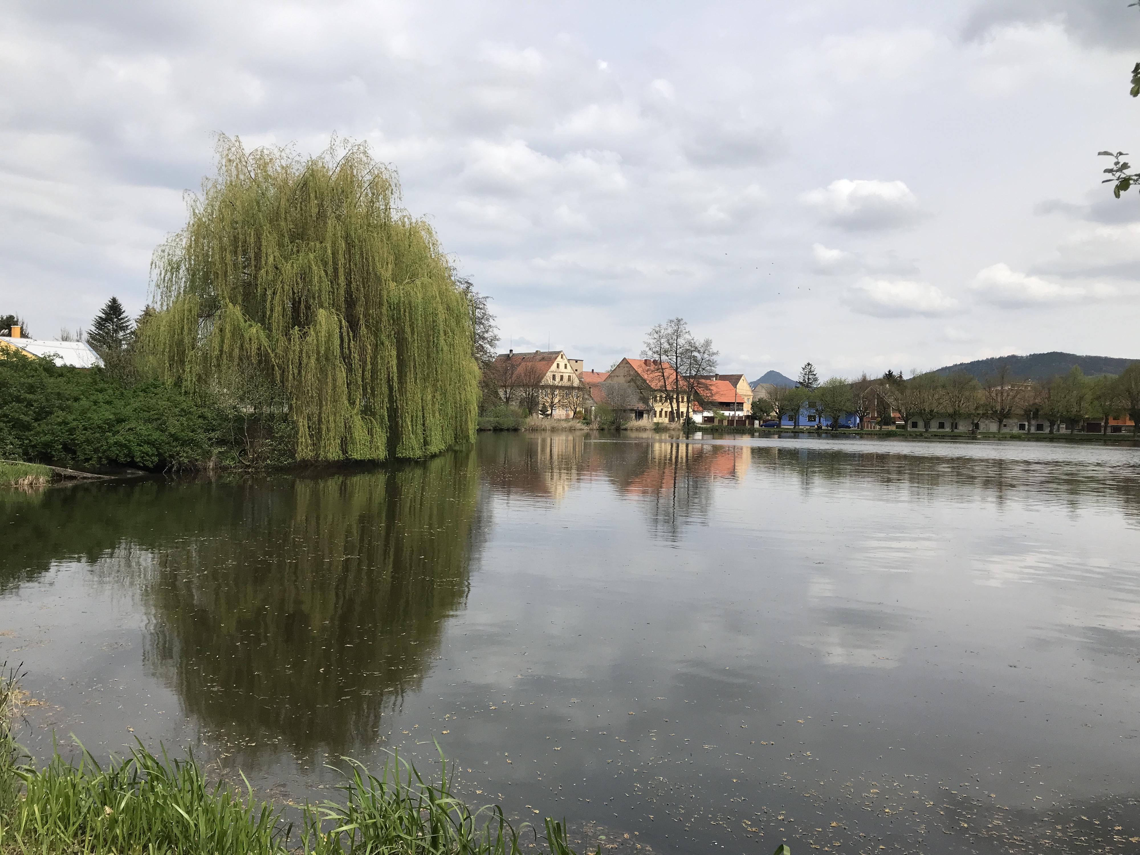Penzion U Rybníka foto 3