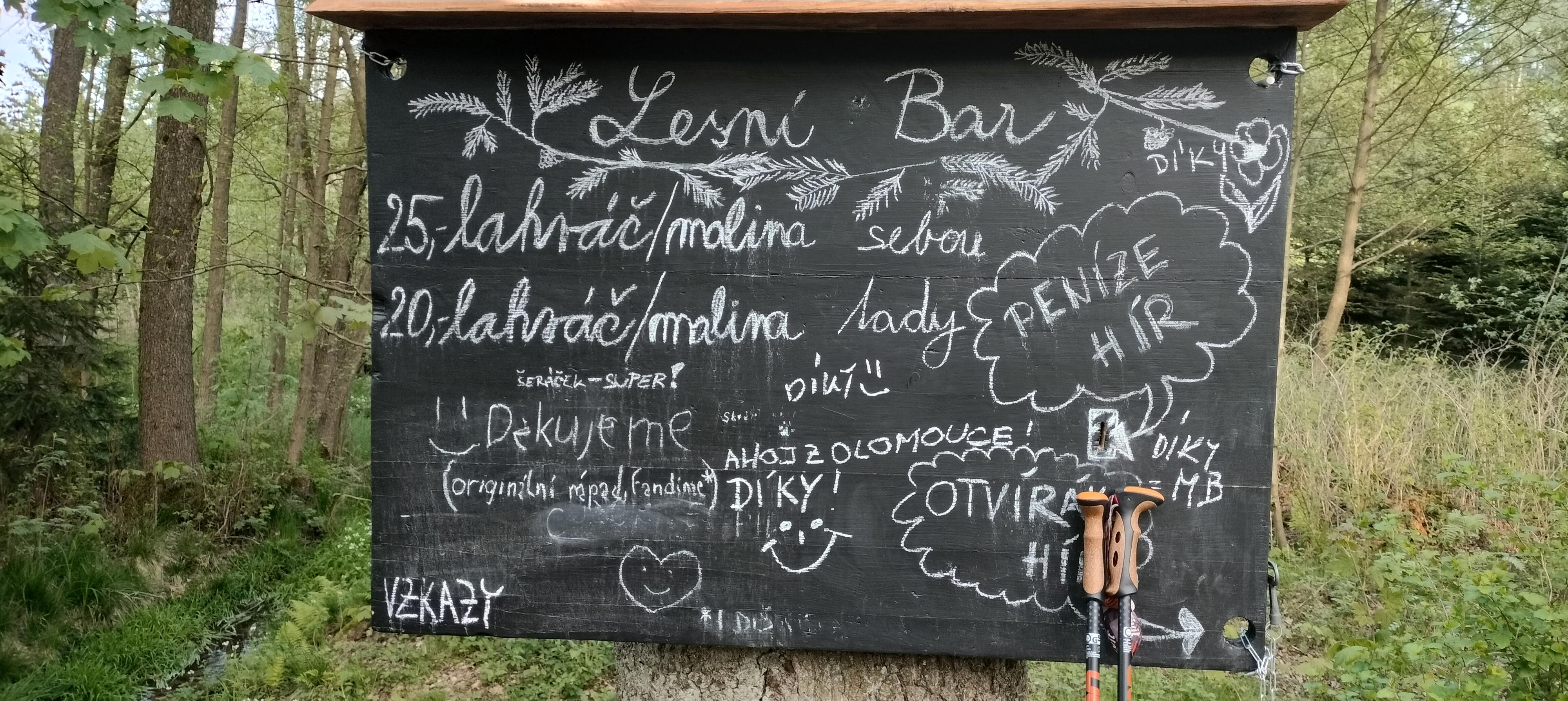 Lesní bar Údolí foto 2