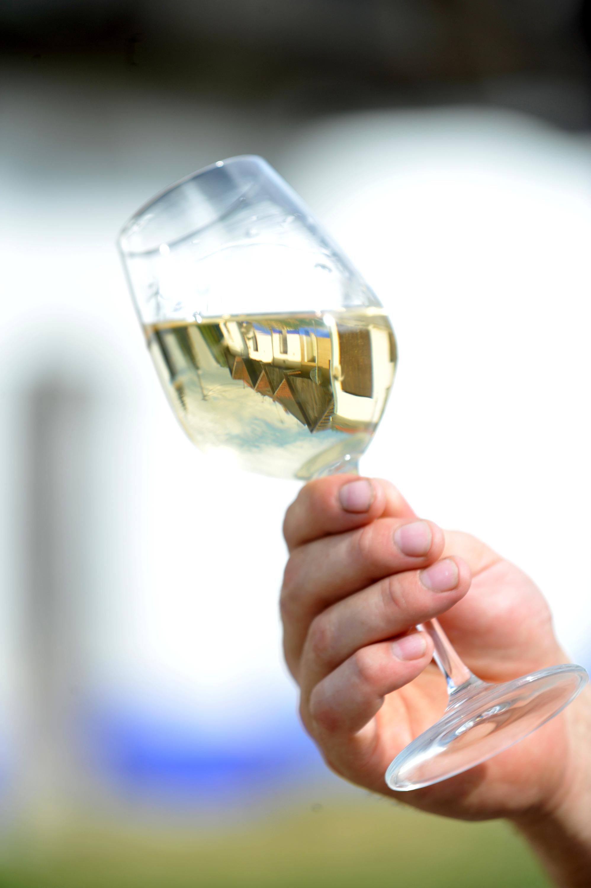 Cech blatnických vinařů foto 4