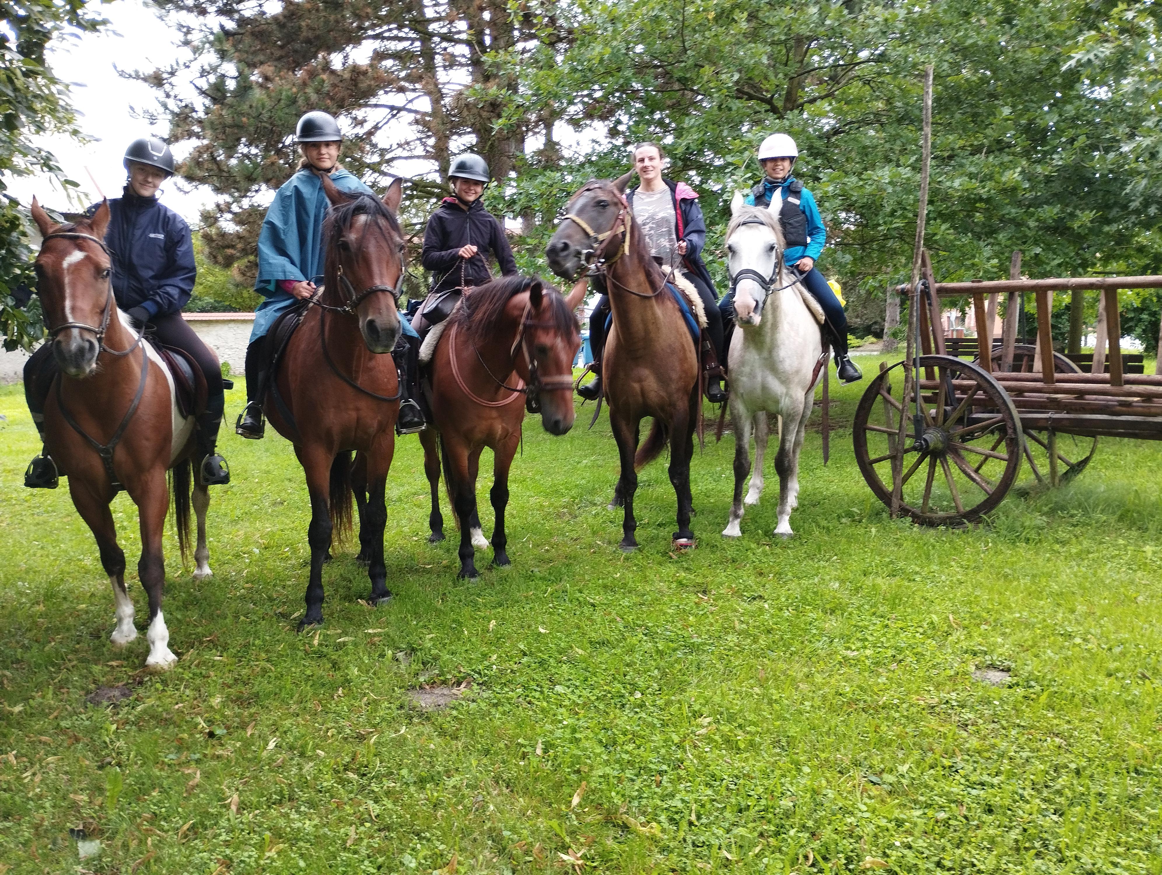 Horse Activity foto 2