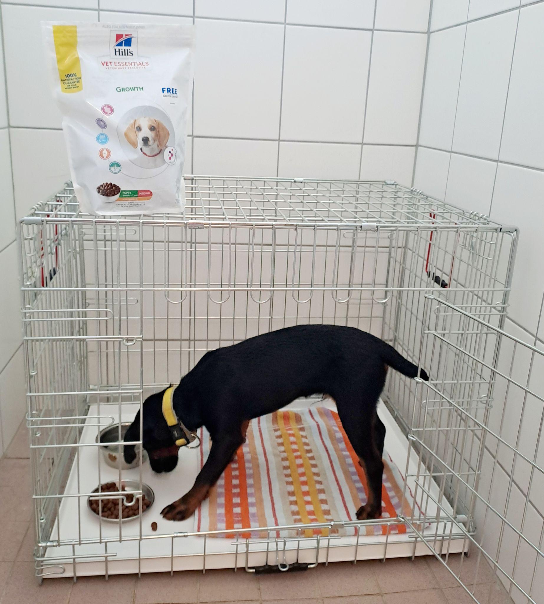 Dravet - veterinární ordinace Drásov foto 6