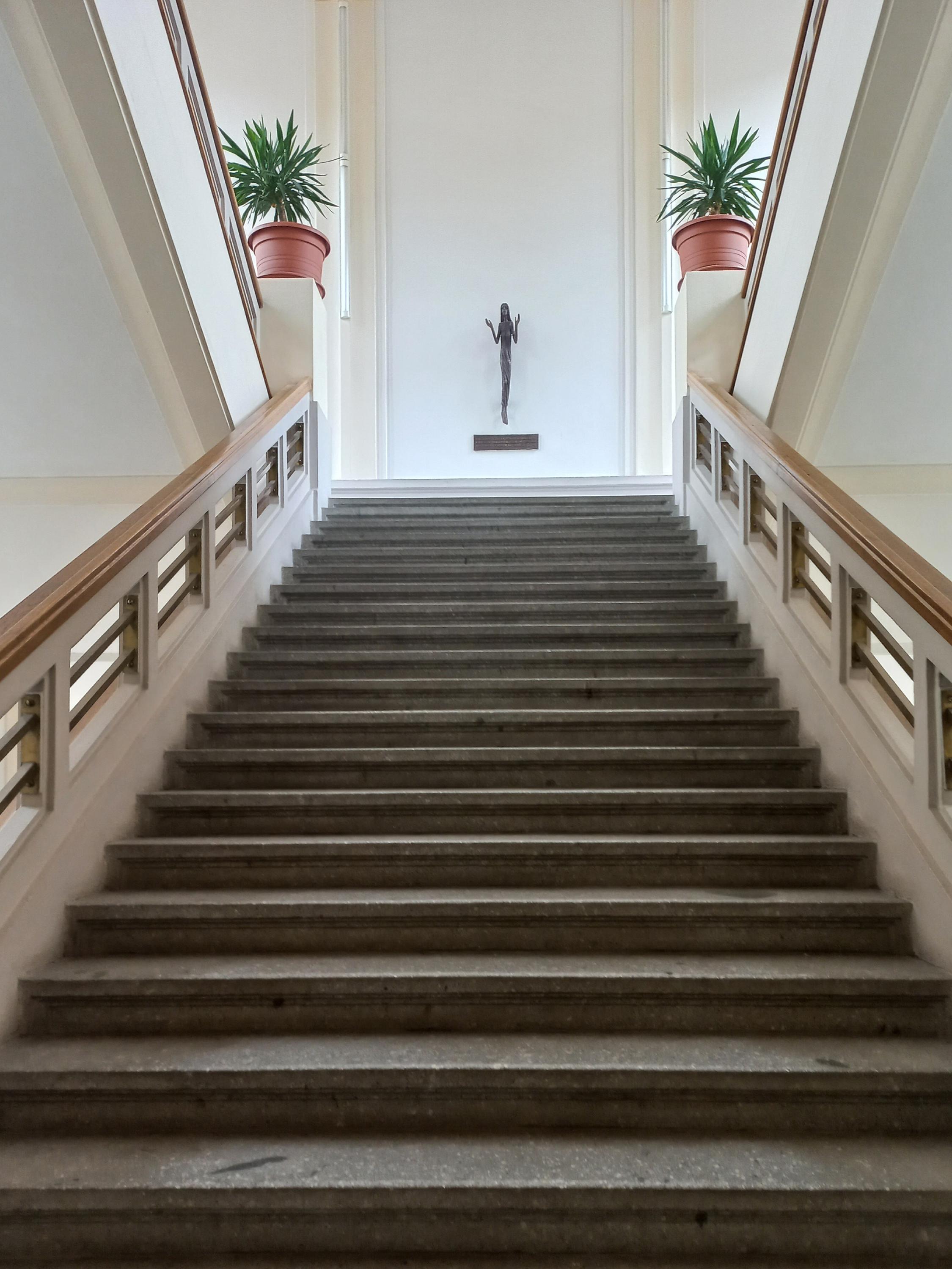 Anatomický ústav 1. LF - Univerzita Karlova foto 6