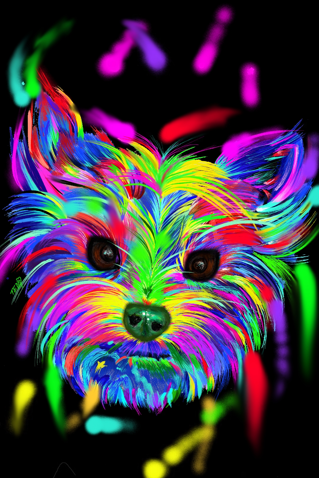 Dogs we are -  SPA - psí salon foto 3