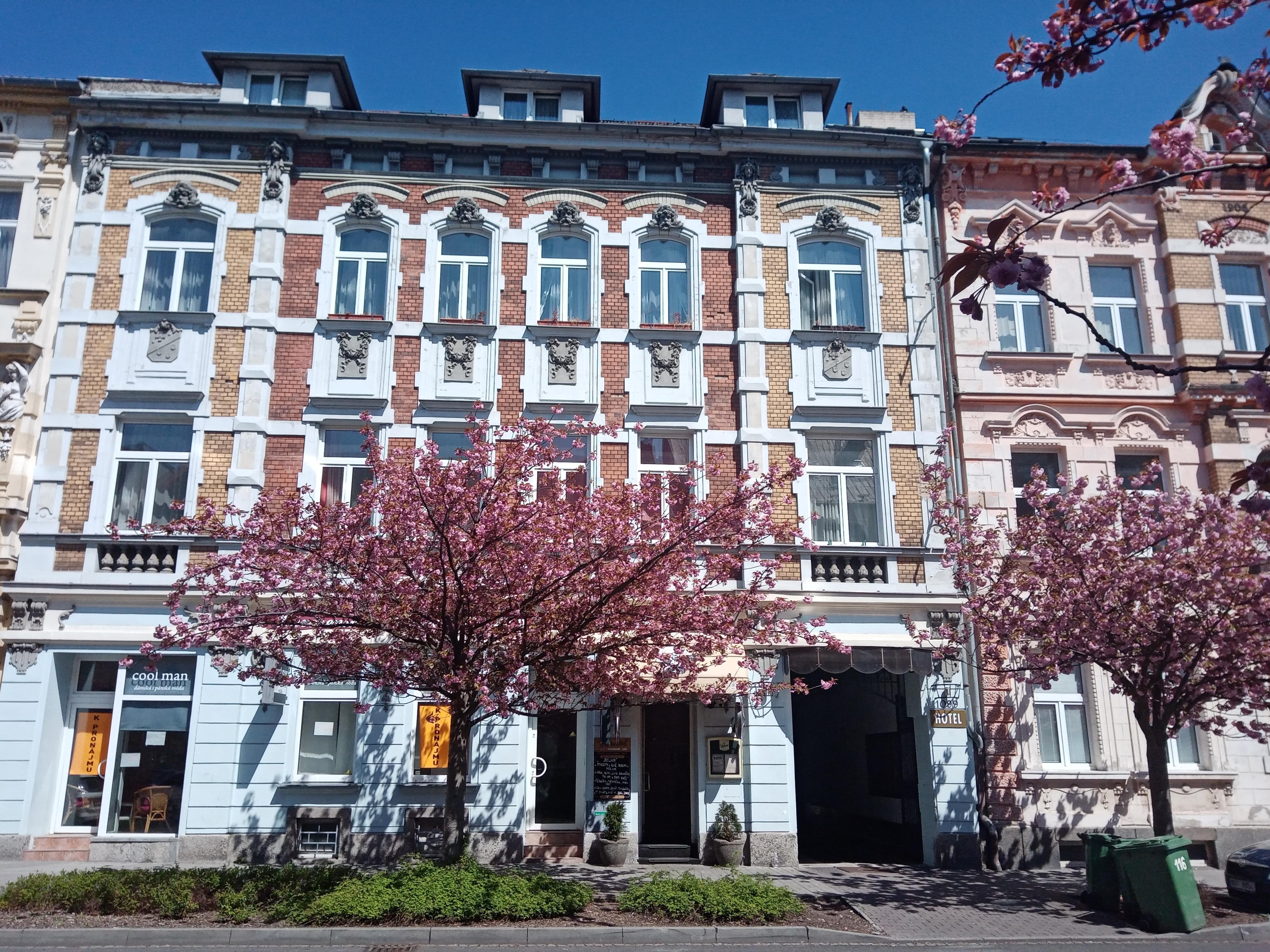 Hotel Clochard foto 5