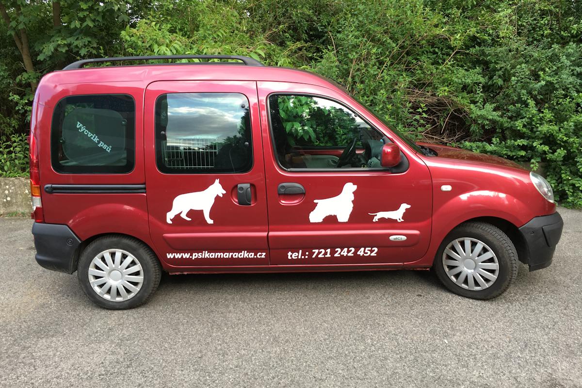 Marta Skálová - Výcvik psů