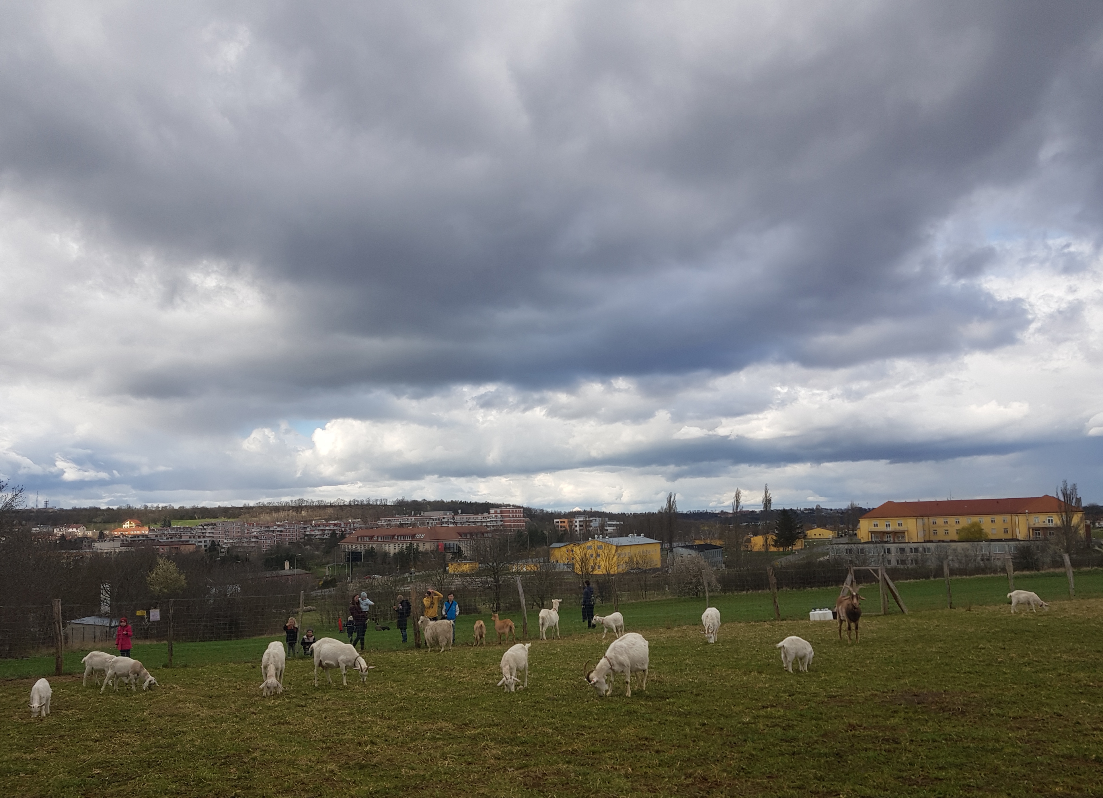 Jinofarm foto 2