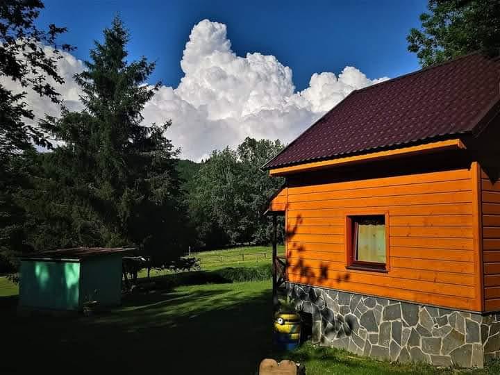 Penzion U bílého koně - chatky foto 3