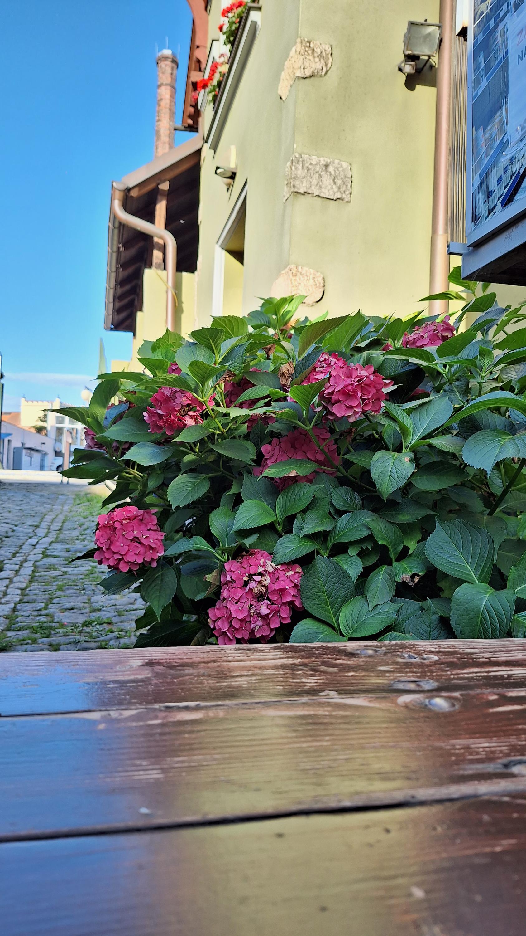 Taverna U Shreka foto 4