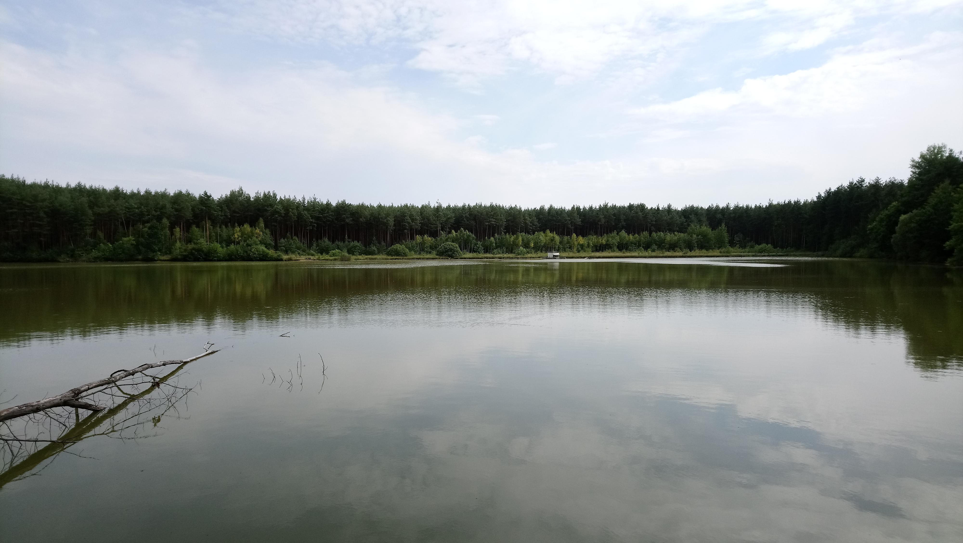 Dřevěný Bungalov foto 3