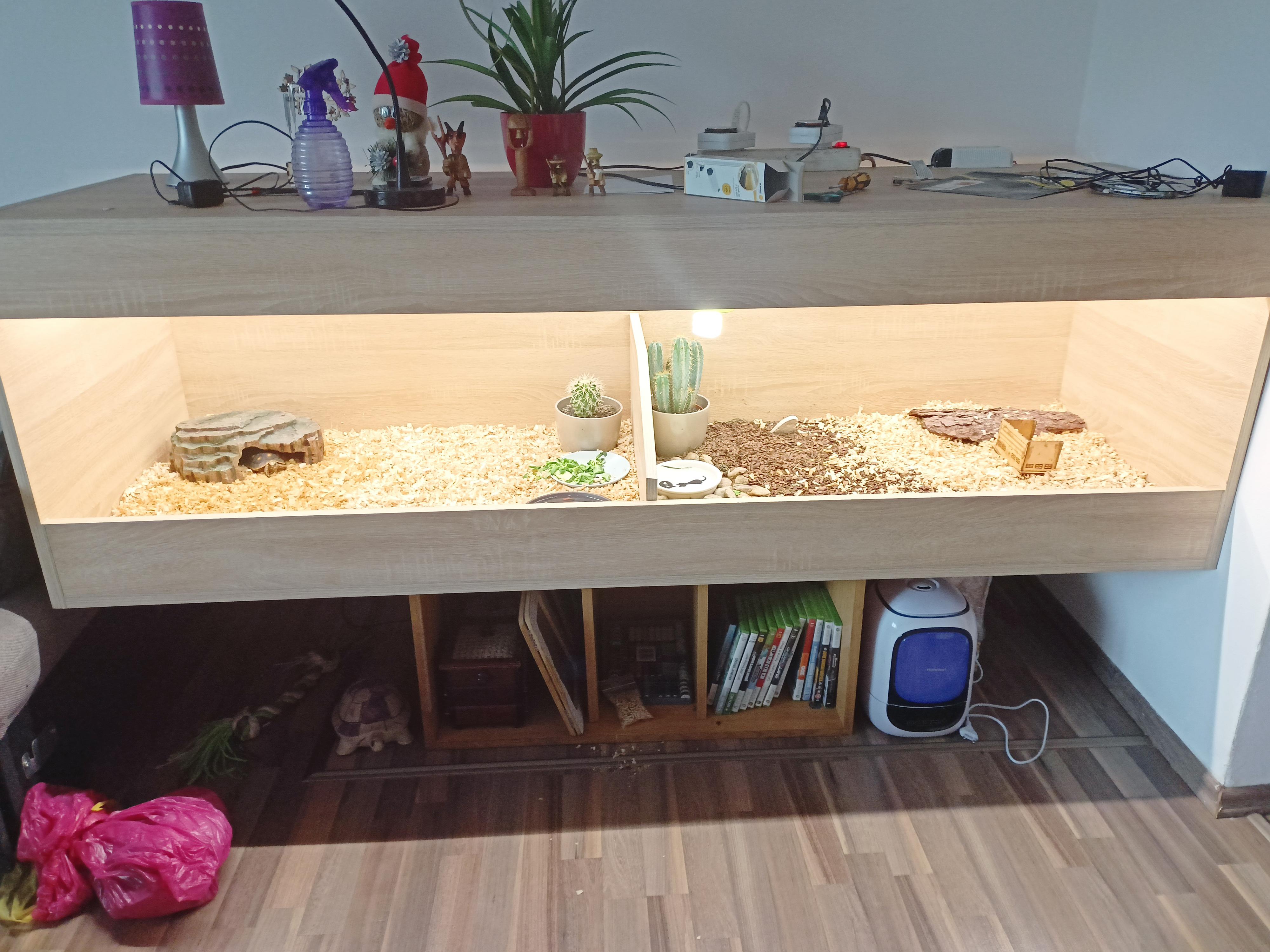 Pneuservis, hodinový manžel - Pavel Dobeš foto 2