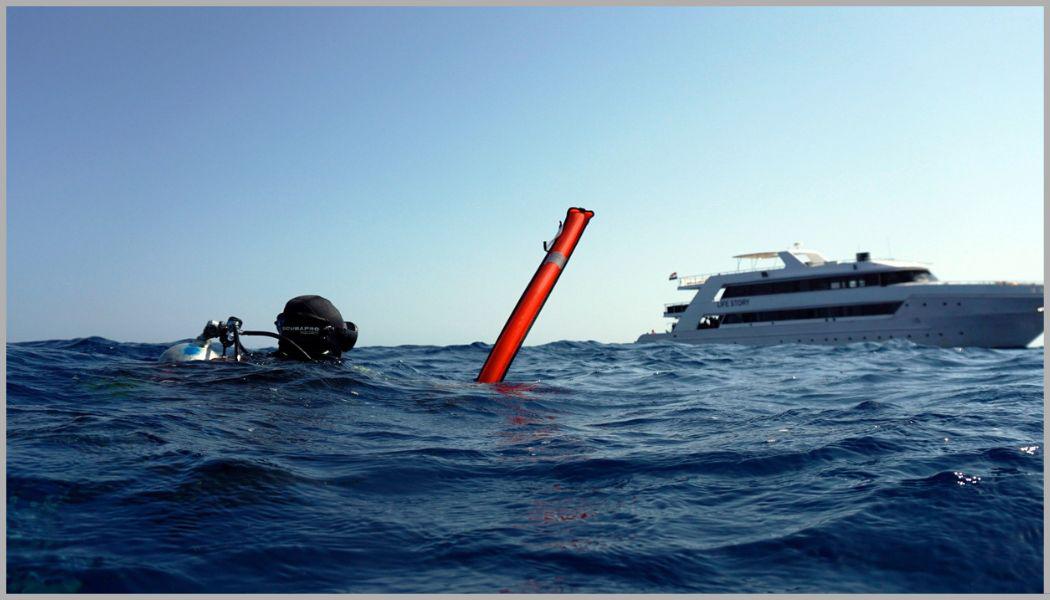 MS-diving / Škola potápění foto 6