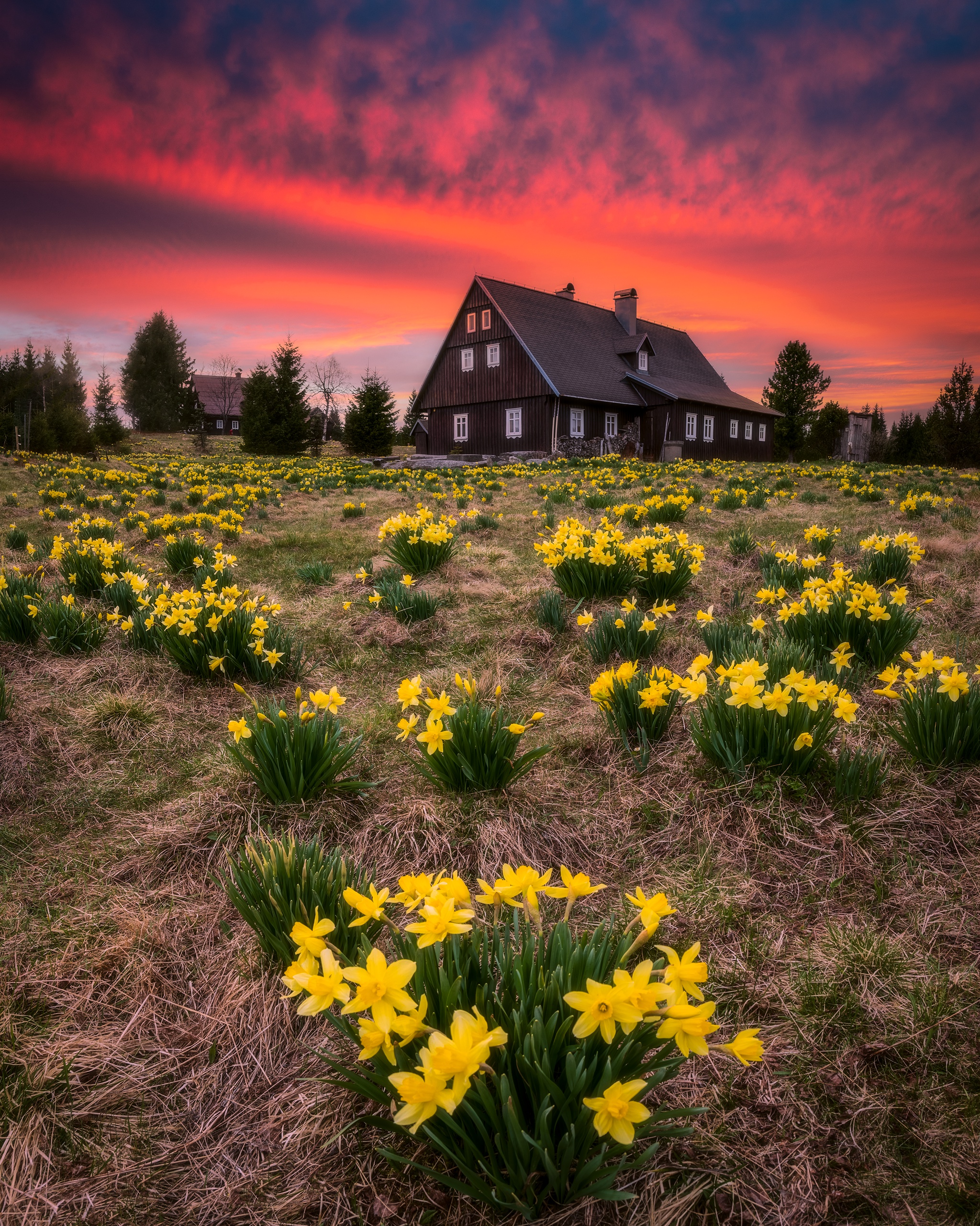 Oceňování pozůstalostí