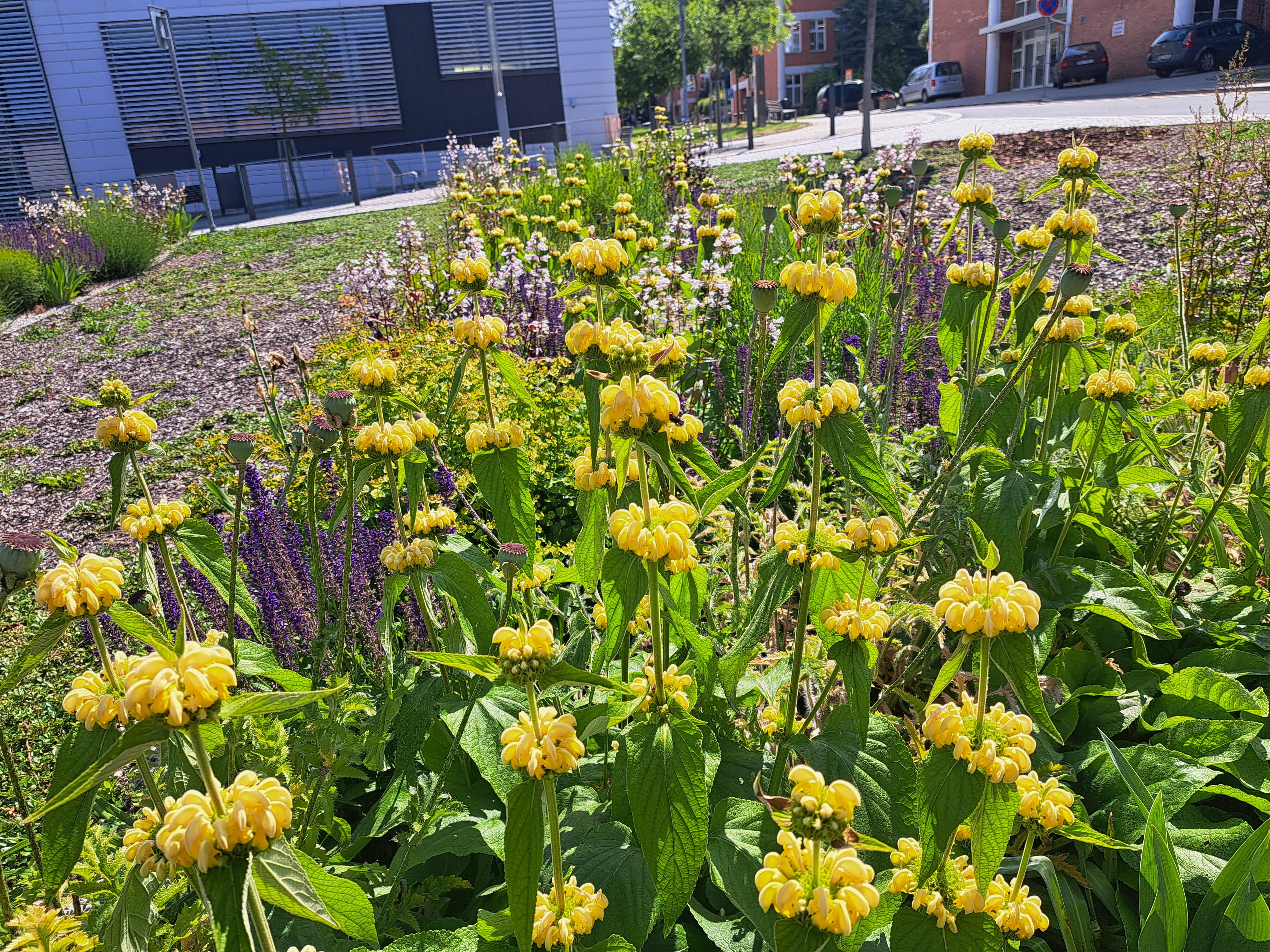 Návrhy a realizace zahrad Danieková foto 3