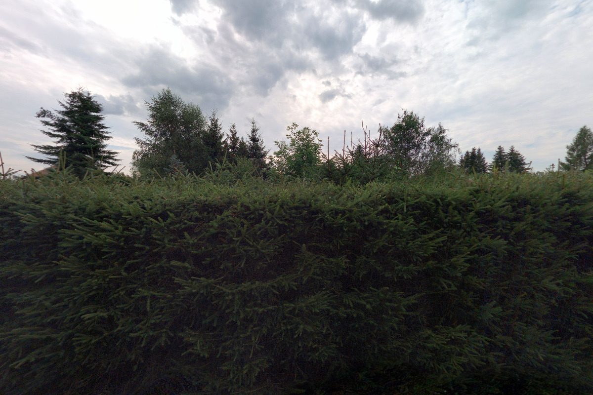 Jana Čížová foto 5