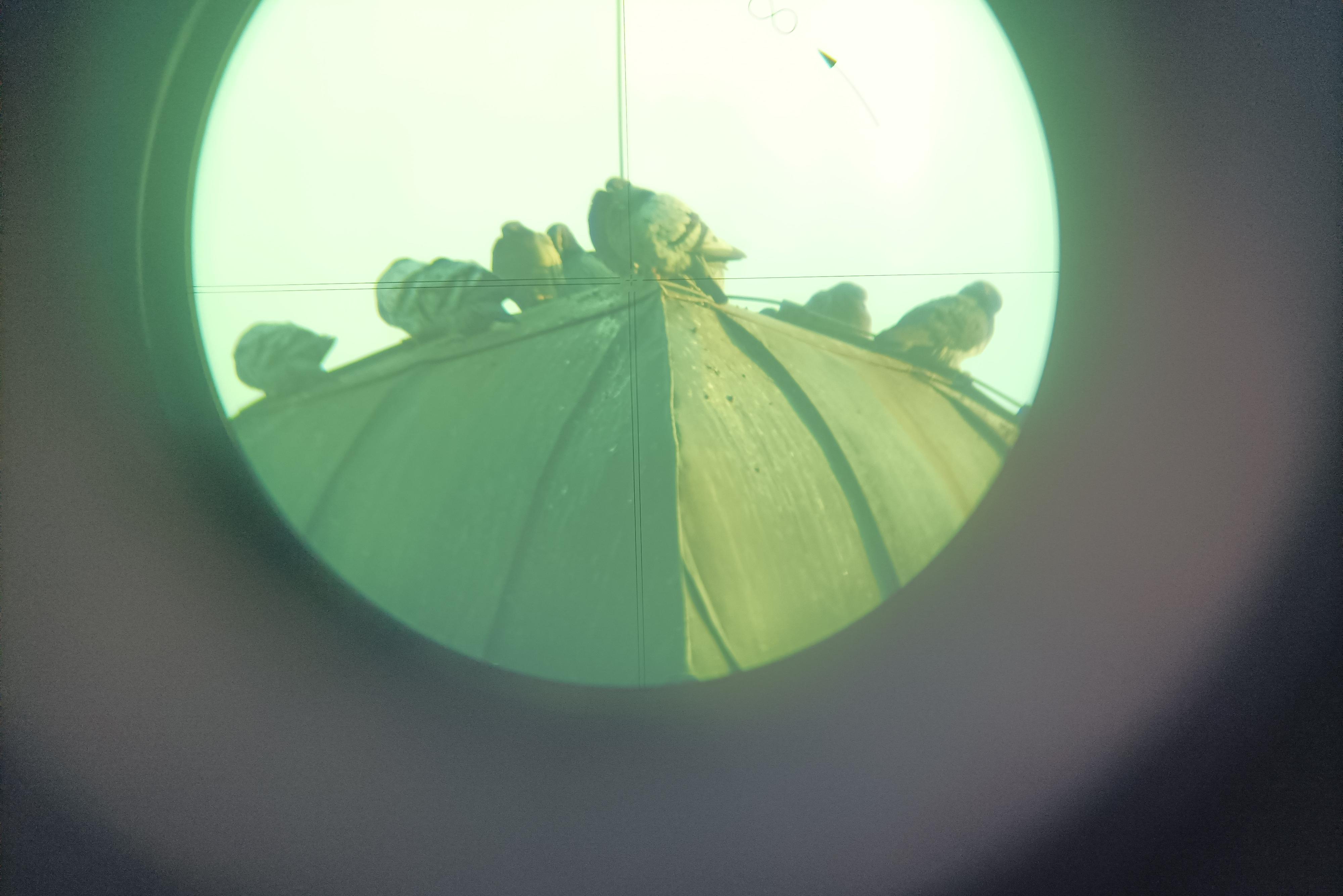 Zaměřování polohopisu a výškopisu