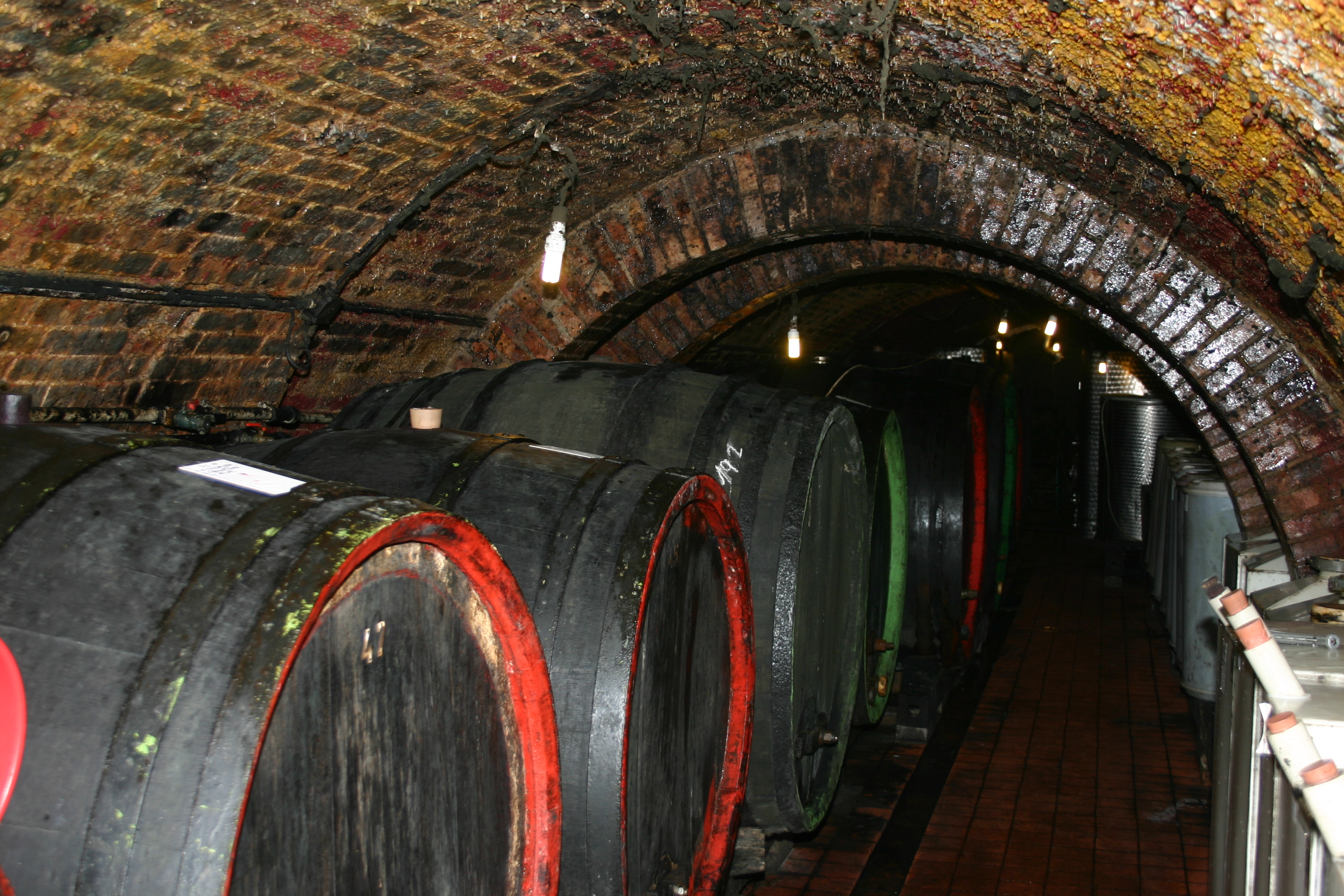 Ubytování Naproti sklepa foto 2