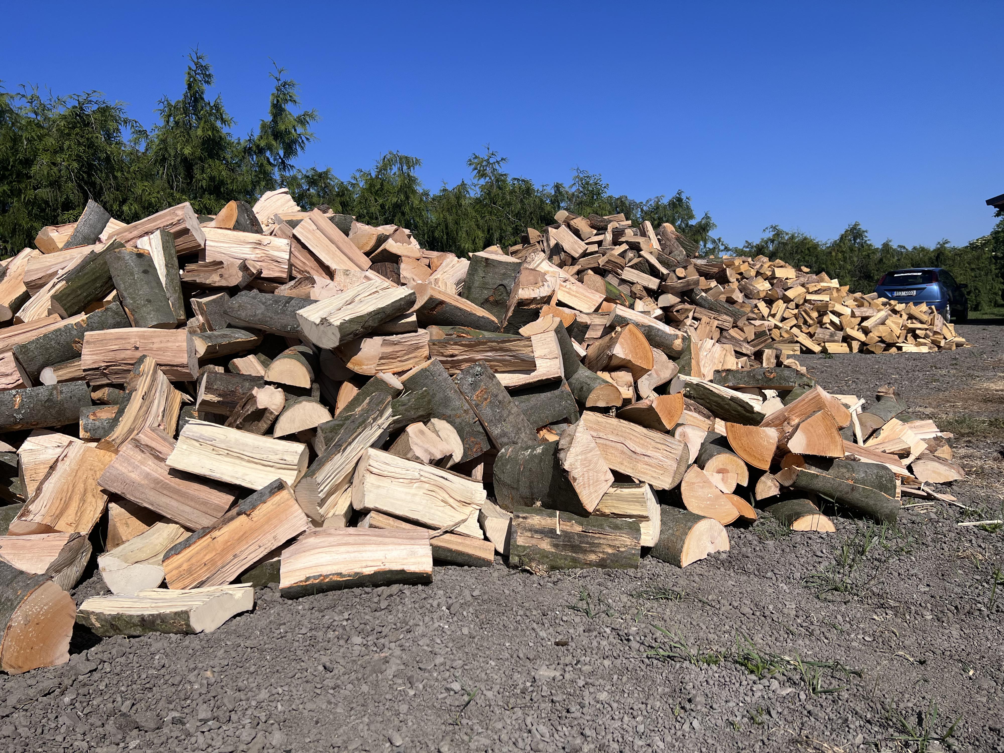 ASCO - Michal Andrys foto 3