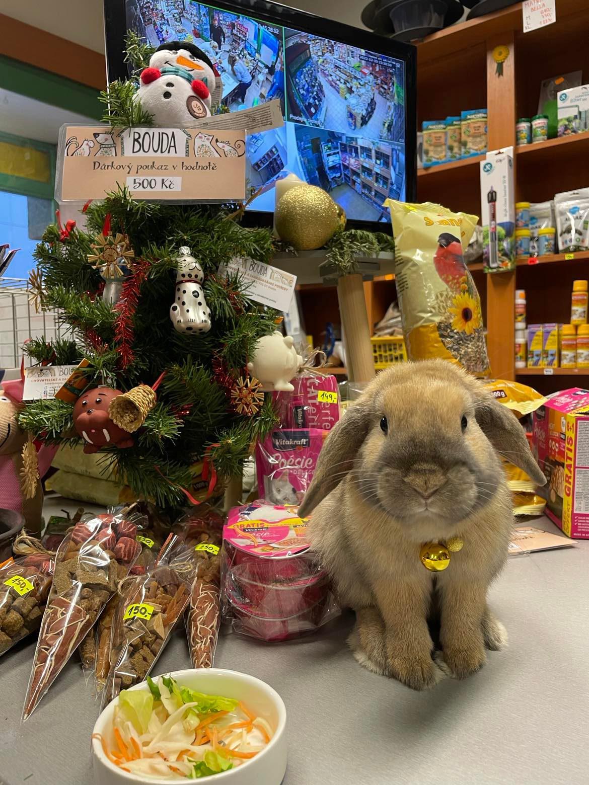 Bouda - chovatelské a zahrádkářské potřeby foto 4