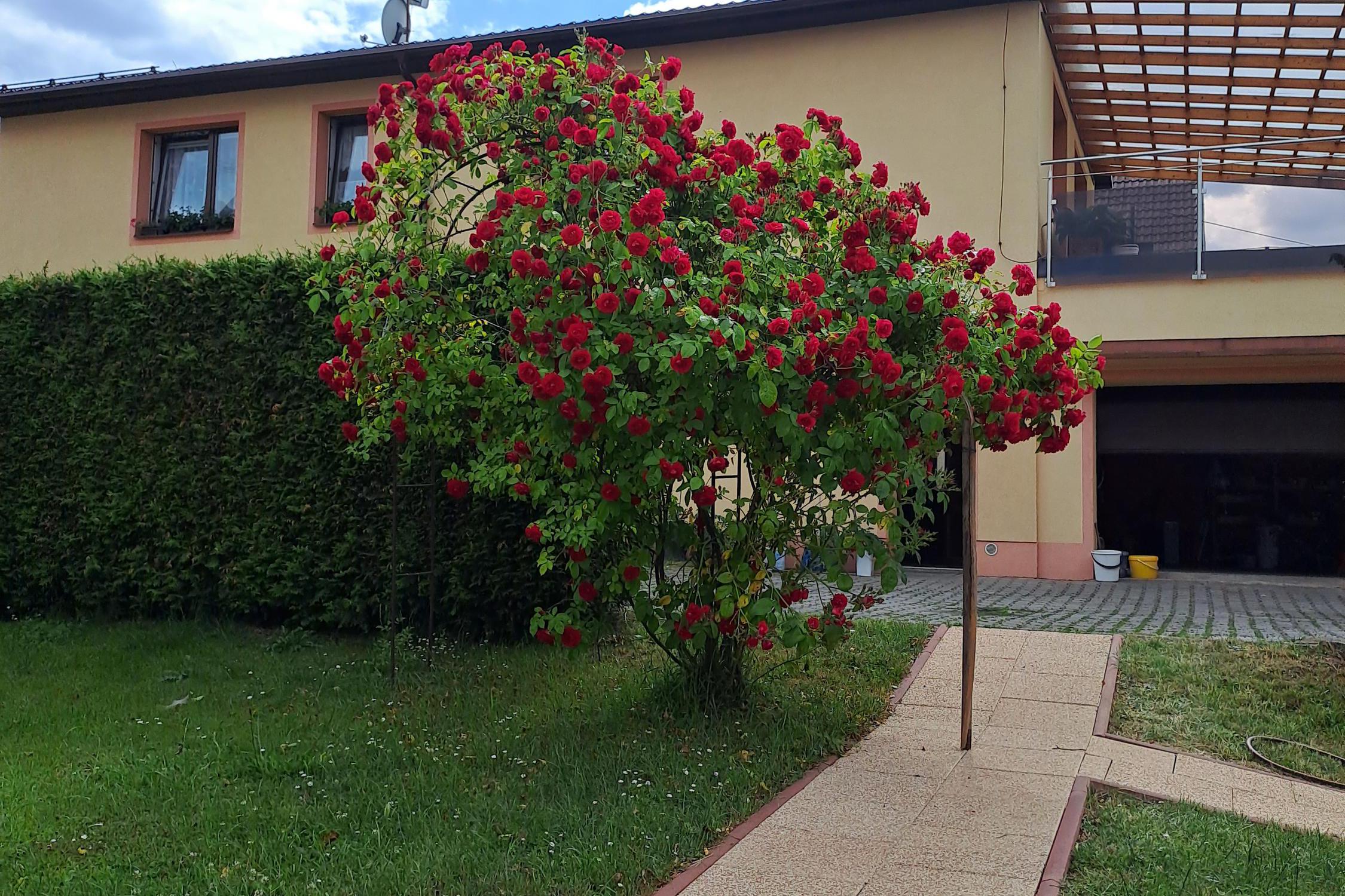 Pension Věra - Mariánské lázně