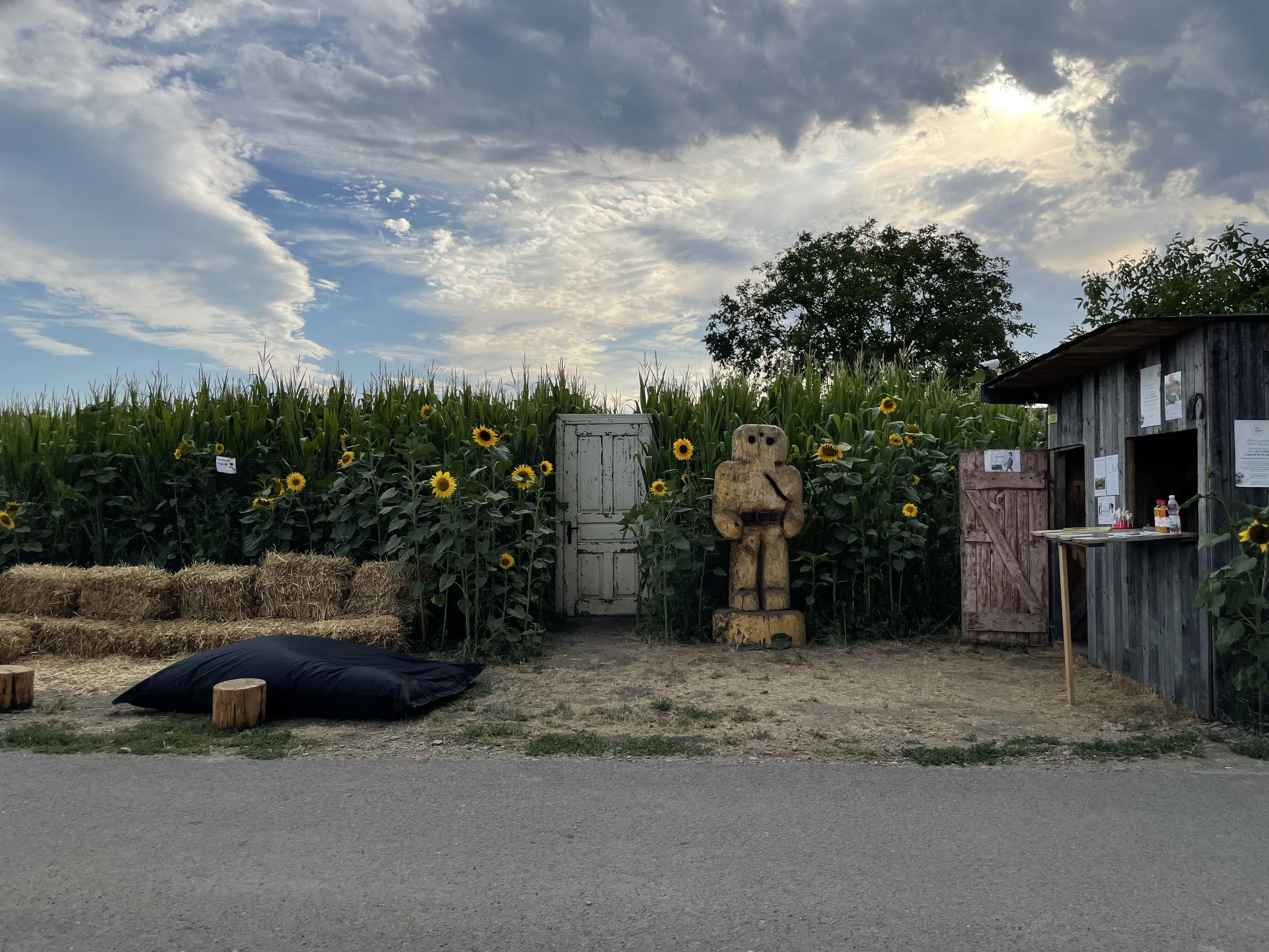 Kukuřište- Kukuřičné Bludiště foto 6