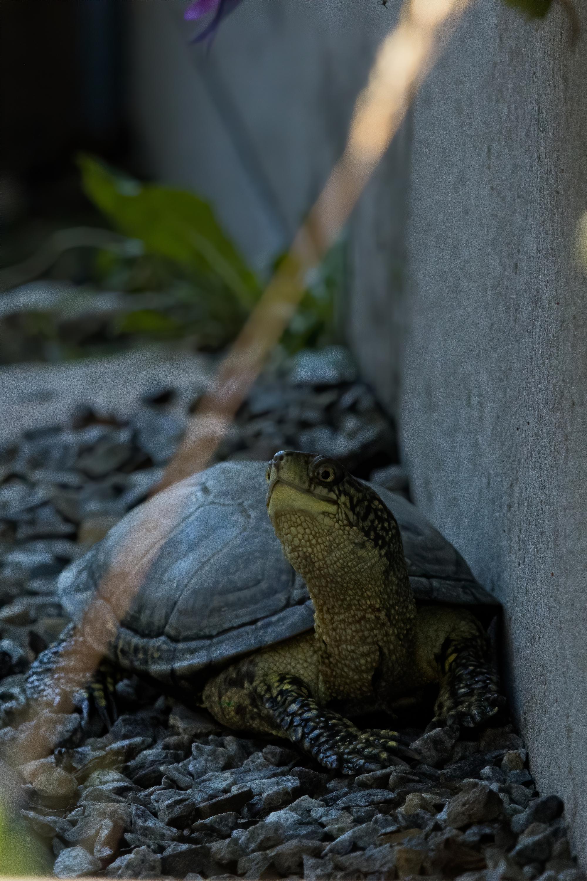 TERADEKOR.CZ foto 4
