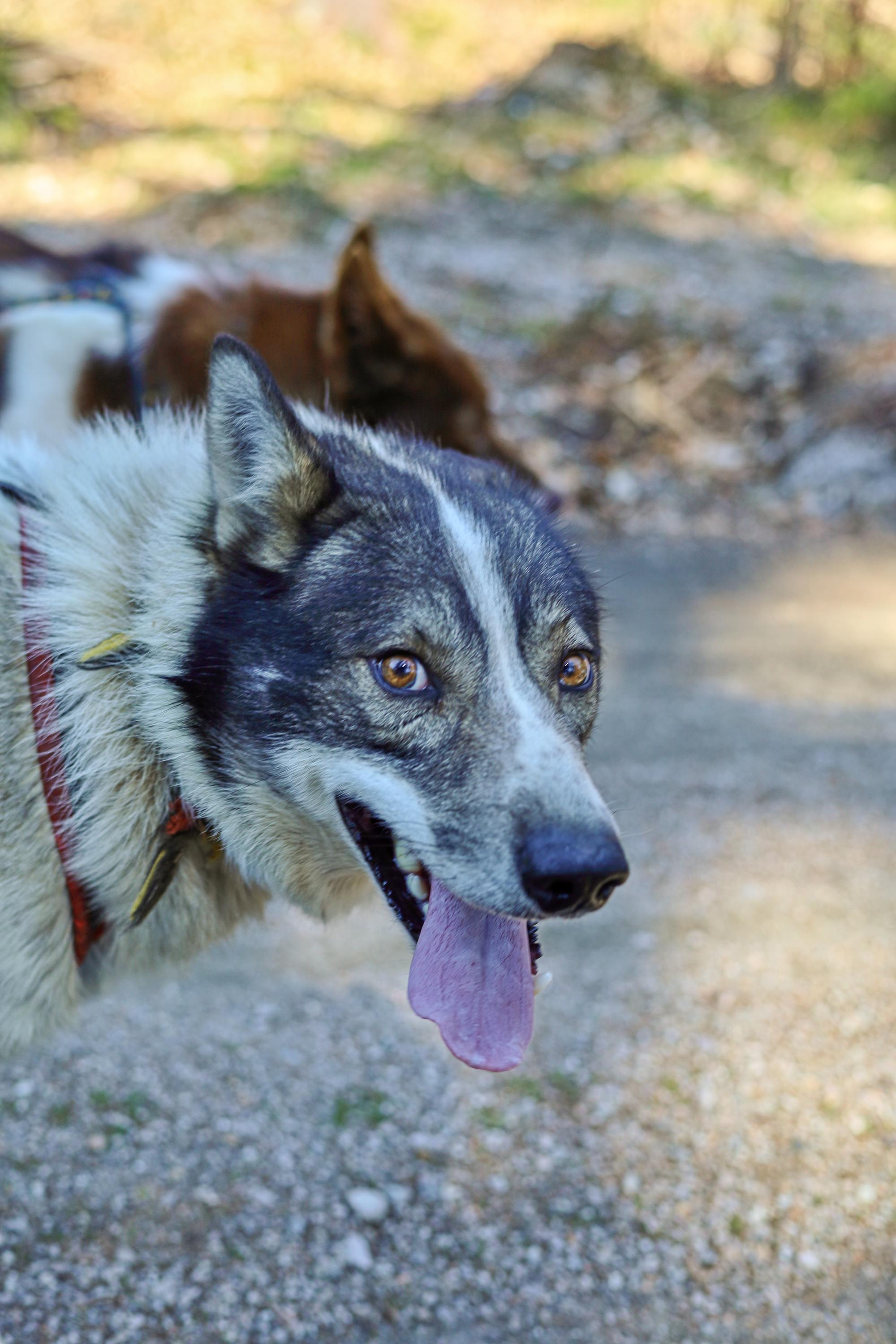 Rodney Scott Lovette foto 2