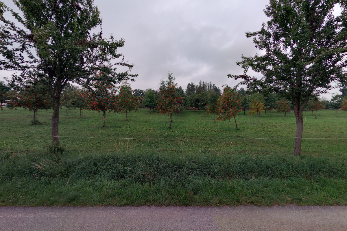 Ubytování JK Apollo