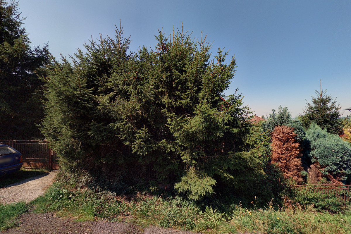 Michaela Svobodová - Masáže