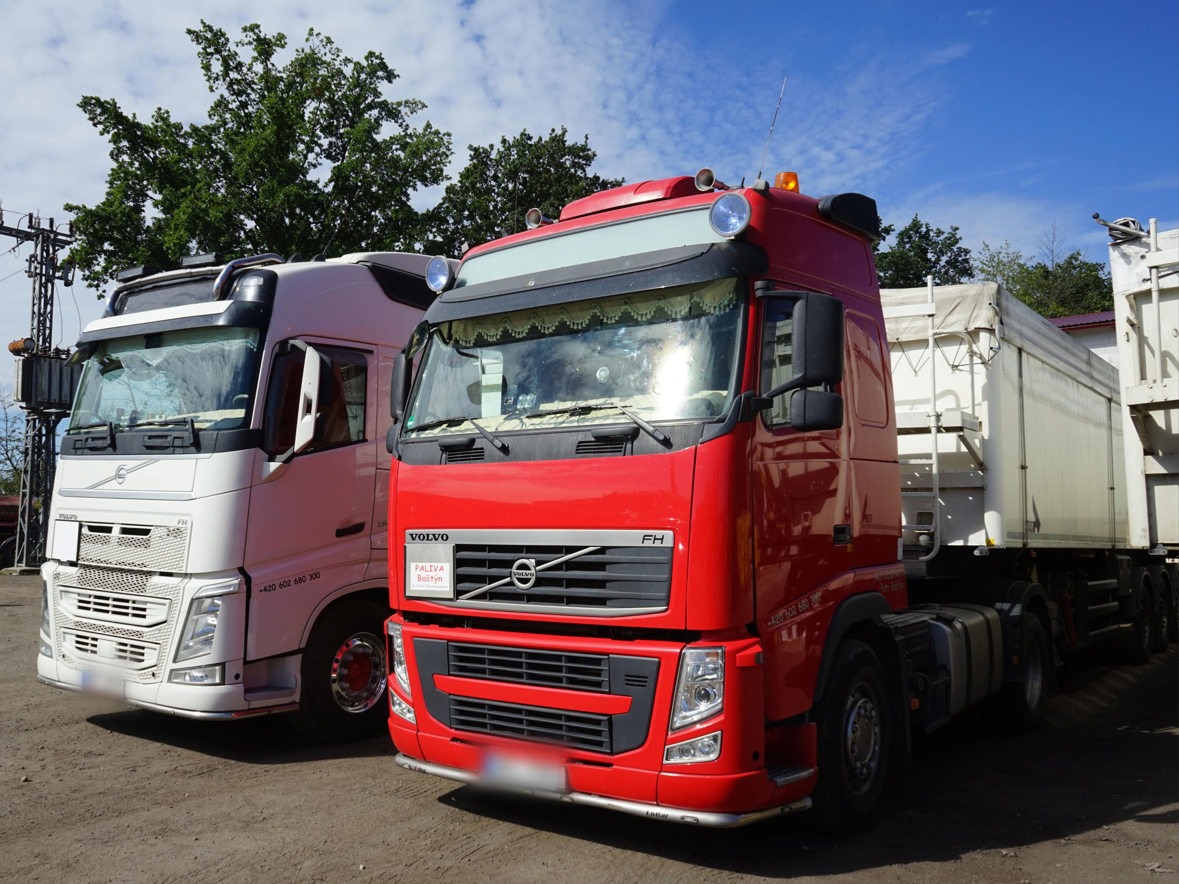 Paliva a kameniva Petr Baštýn foto 3