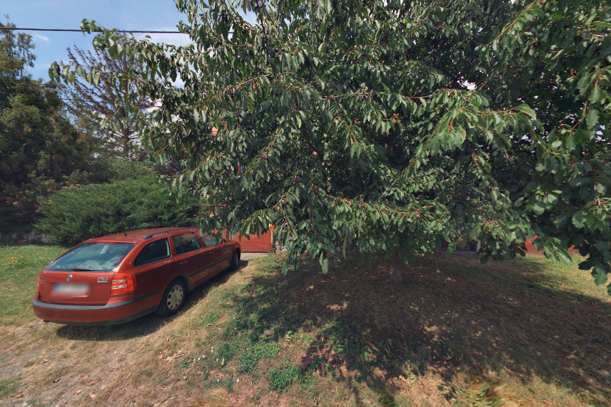 Daňový poradce ev. č. 1755 RNDr. Jana Korcová