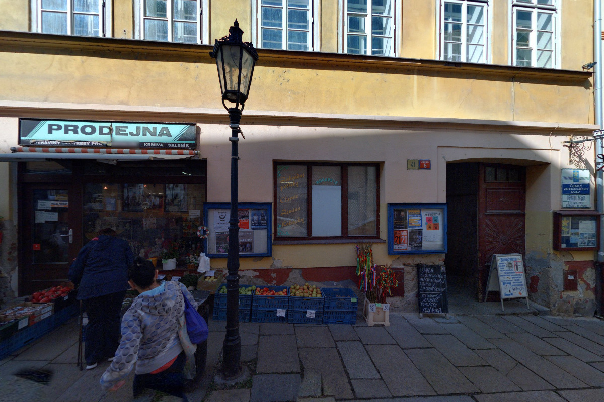 Alena Kynkorová foto 2