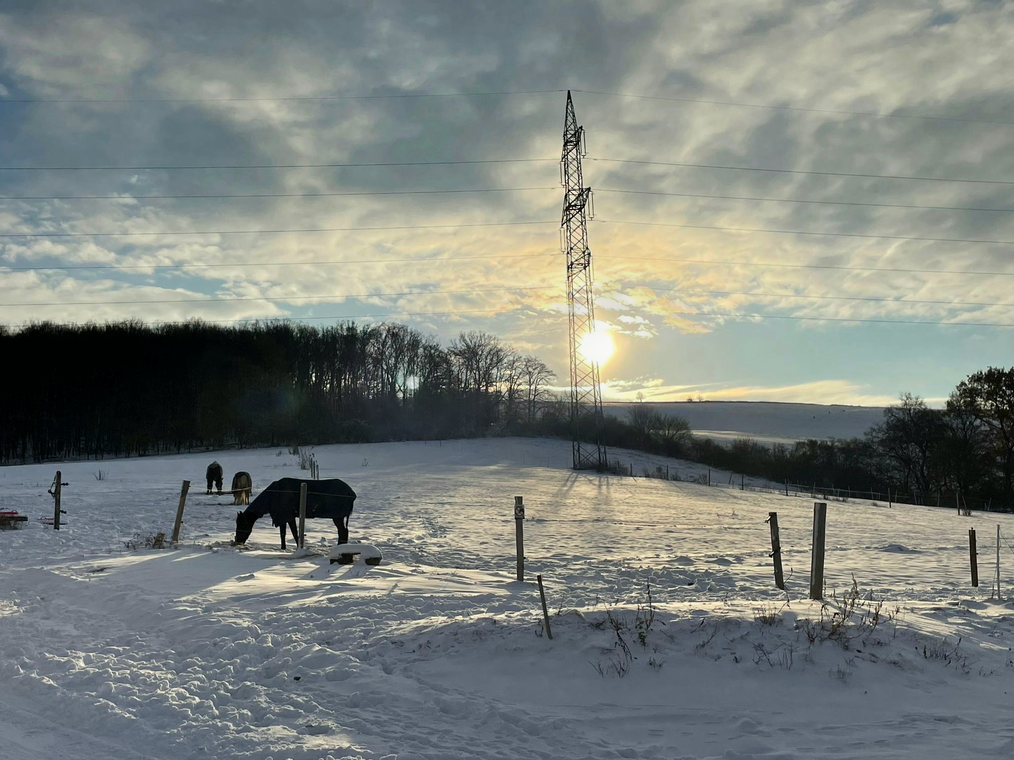 Stáje Boškůvky foto 5