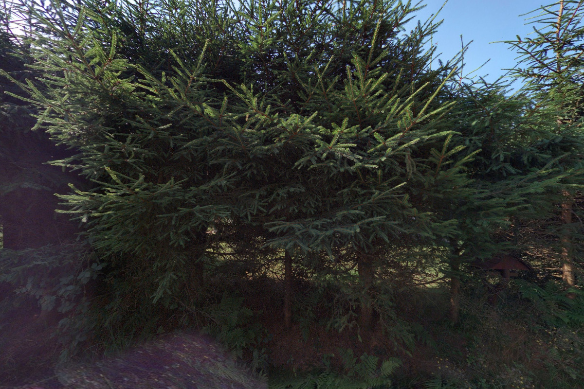 Římskokatolická farnost Kytlice