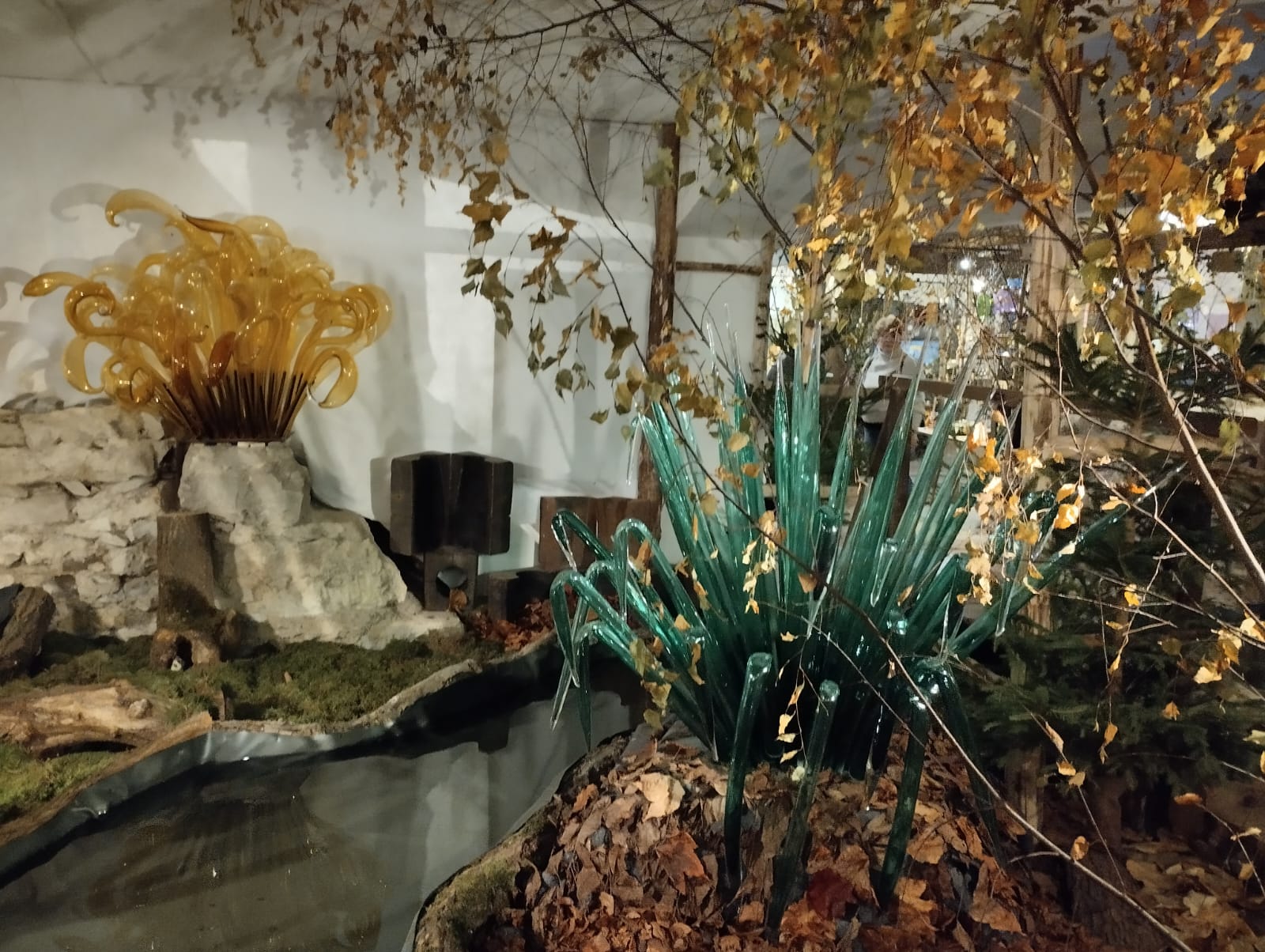 Bonsai servis - Ing. Blahoslav Lukavec foto 5