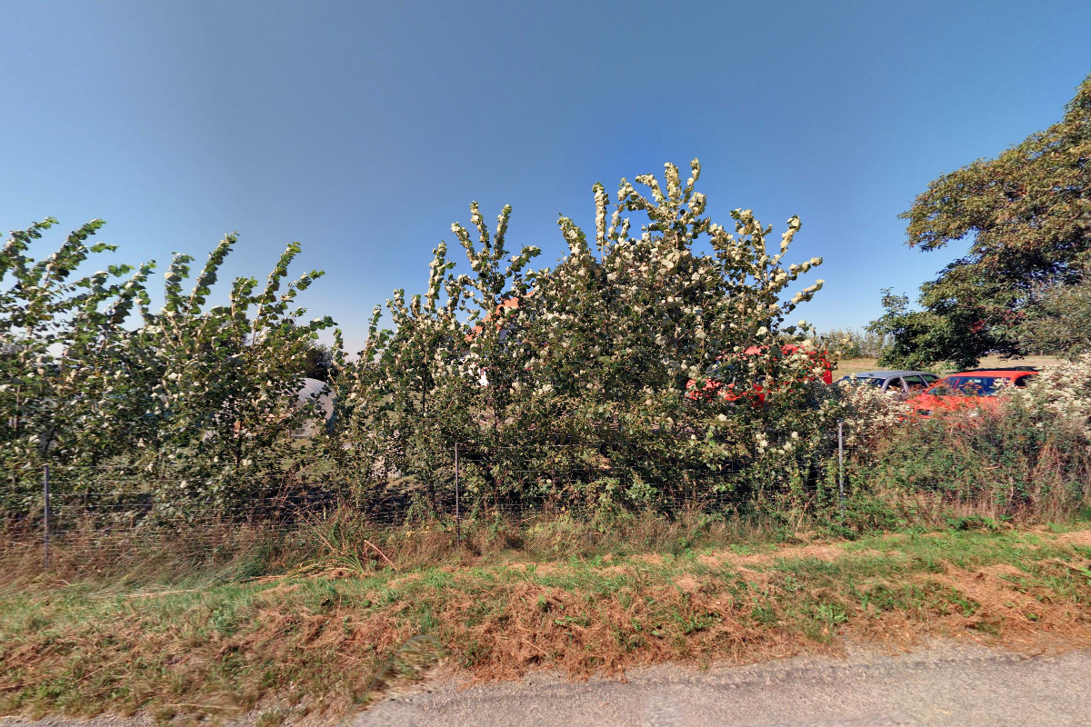 Kořénkova farma Vícemil