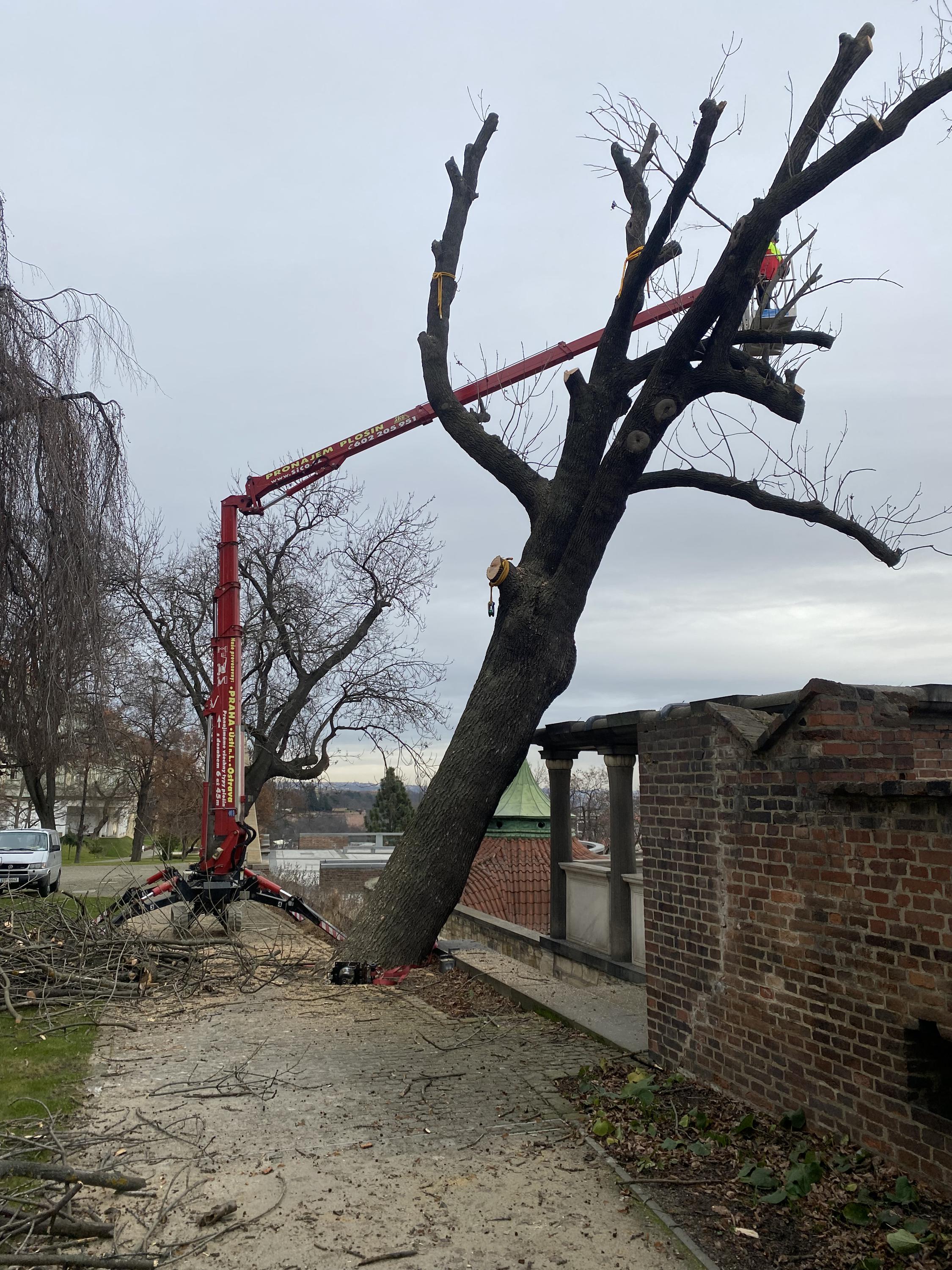 Arboristika Kamil Švec foto 2