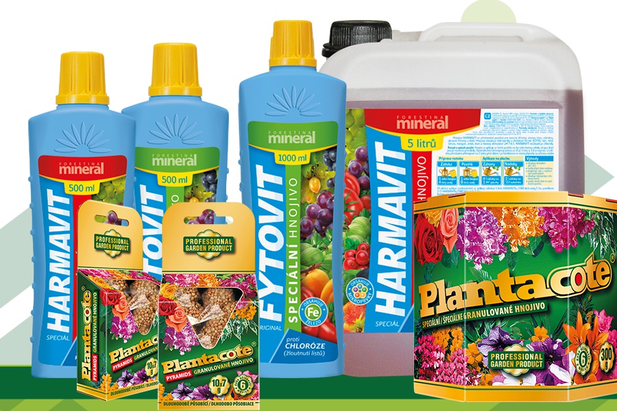 Nabízíme hnojiva na míru araukáriím